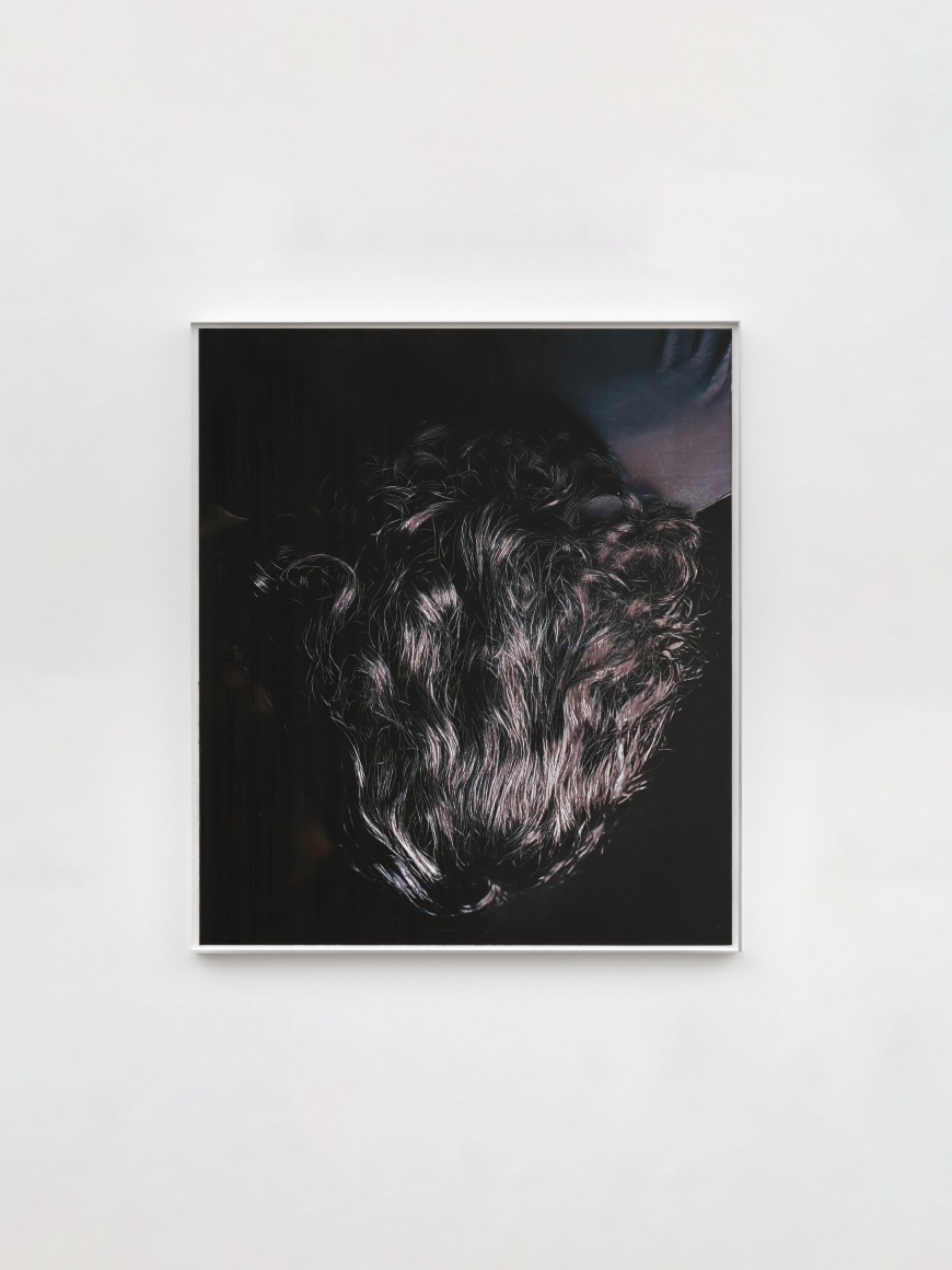 David Moy Jason, 2025 Ultrachrome inkjet on panel with varnish 23 x 20 in (unframed) 58.4 x 50.8 cm (unframed) (DMO25.016)