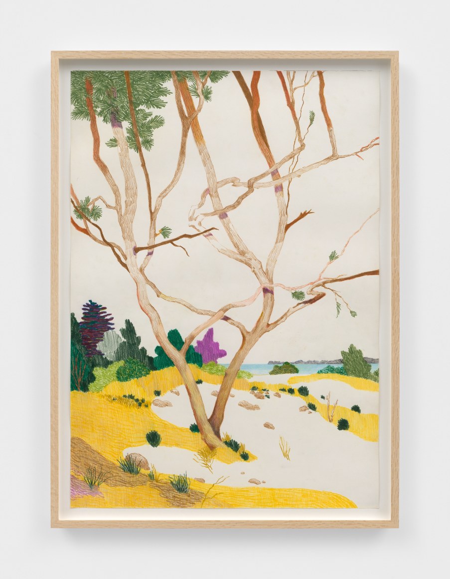 Per Adolfsen Pine tree on the beach, 2025 Signed, titled, and dated on verso Colored pencil on Hahnemühle paper 35 1/8 x 25 5/8 in (framed) 89.2 x 65 cm (framed) (PAD25.011)