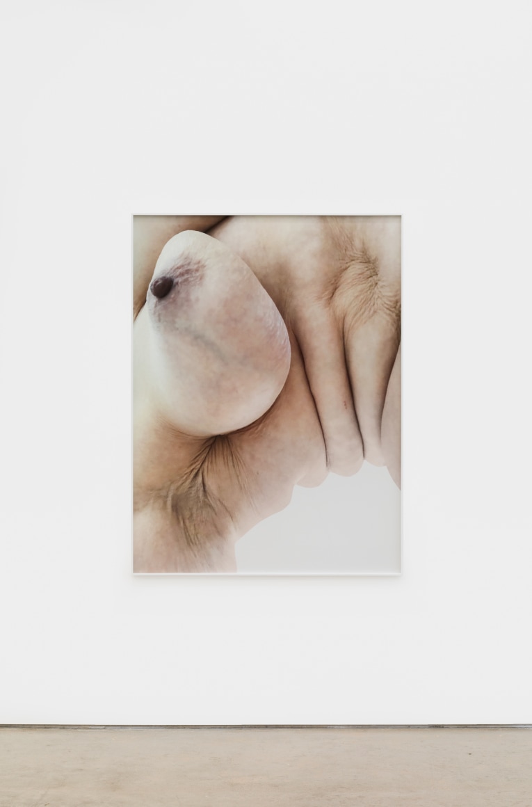 Polly Borland Nudie (12), 2021 Archival pigment print 53 1/4 x 40 in (image) 135.3 x 101.6 cm (image) 53 1/2 x 40 1/4 x 1 1/2 in (framed) 135.9 x 102.2 x 3.8 cm (framed) Edition of 3 plus 2 artist's proofs (#1/3) (PBO21.012)