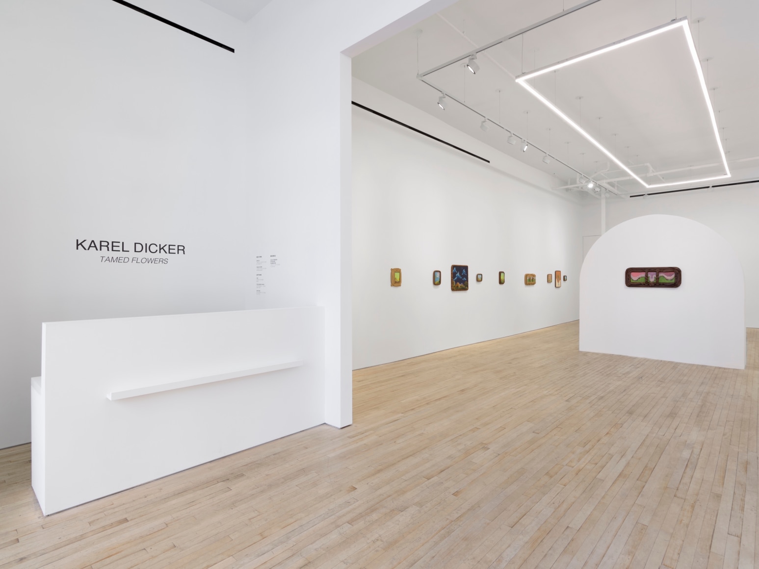 Installation view of Karel Dicker, tamed flowers, Nino Mier Gallery, Tribeca, June 27 – August 8, 2025