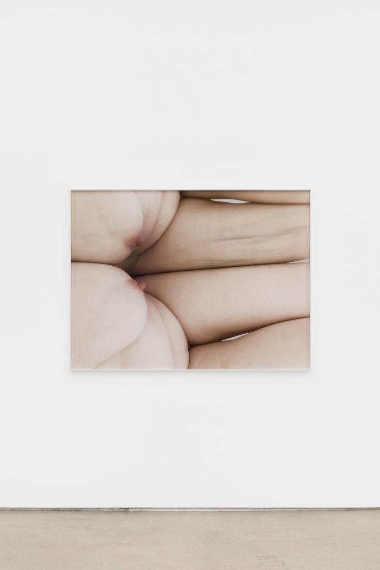 Polly Borland Nudie (3), 2021 Archival pigment print 40 x 53 1/4 in (image) 101.6 x 135.3 cm (image) 40 1/4 x 53 1/2 x 1 1/2 in (framed) 102.2 x 135.9 x 3.8 cm (framed) Edition of 3 plus 2 artist's proofs (#1/3) (PBO21.003)