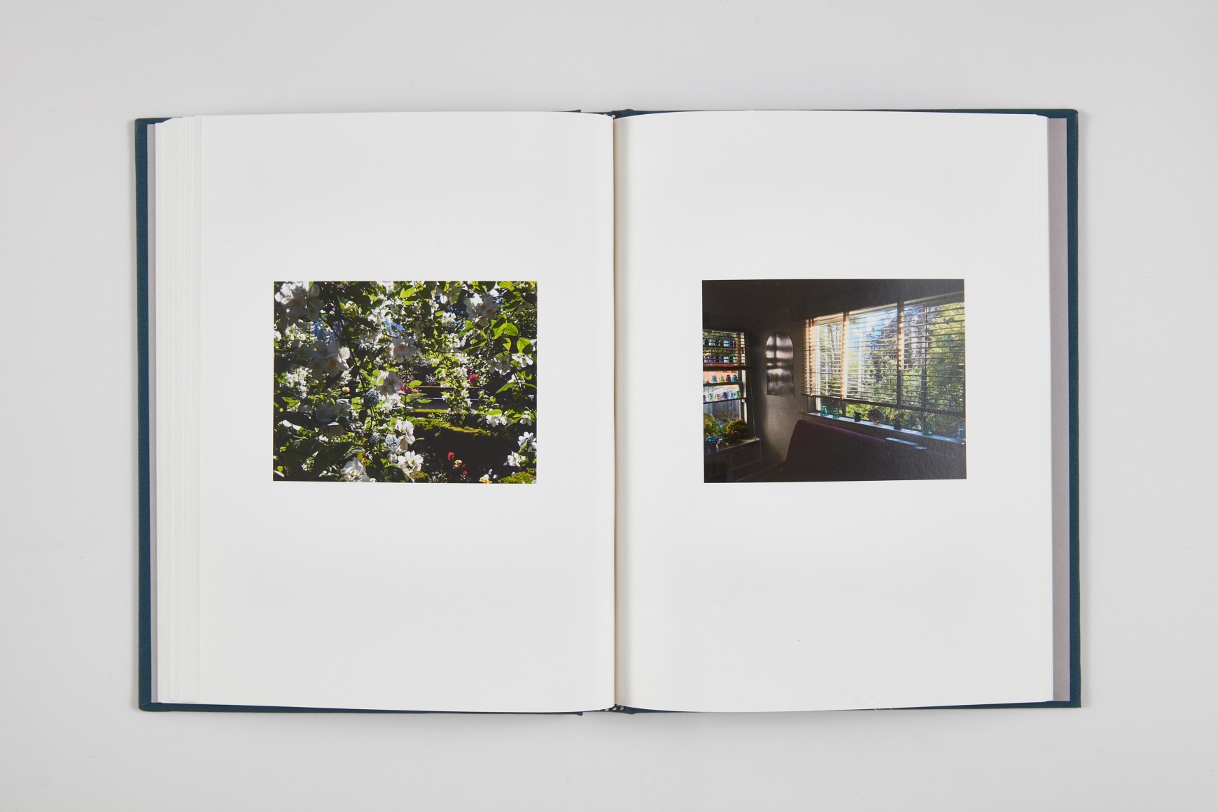 NEW PUBLICATION ECLOGUES: Letters and Correspondence, 2020