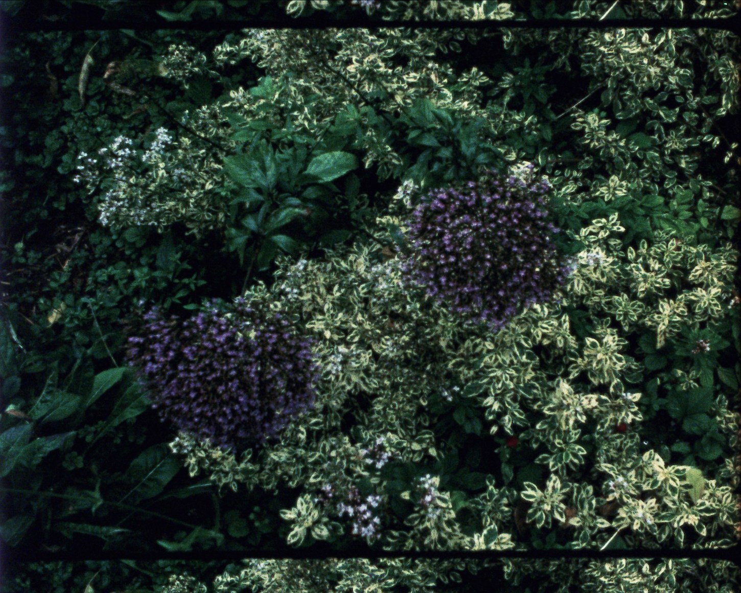 September 9&nbsp;from&nbsp;Arboretum Cycle,&nbsp;2017