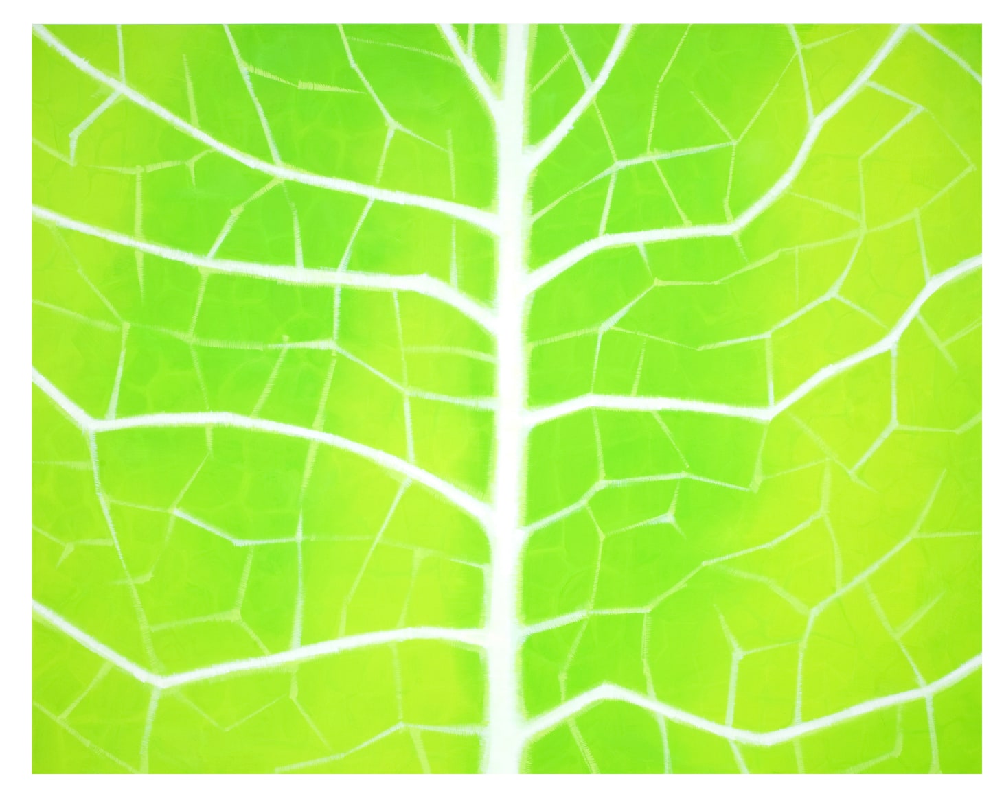 Robert Zandvliet Linde, 2021