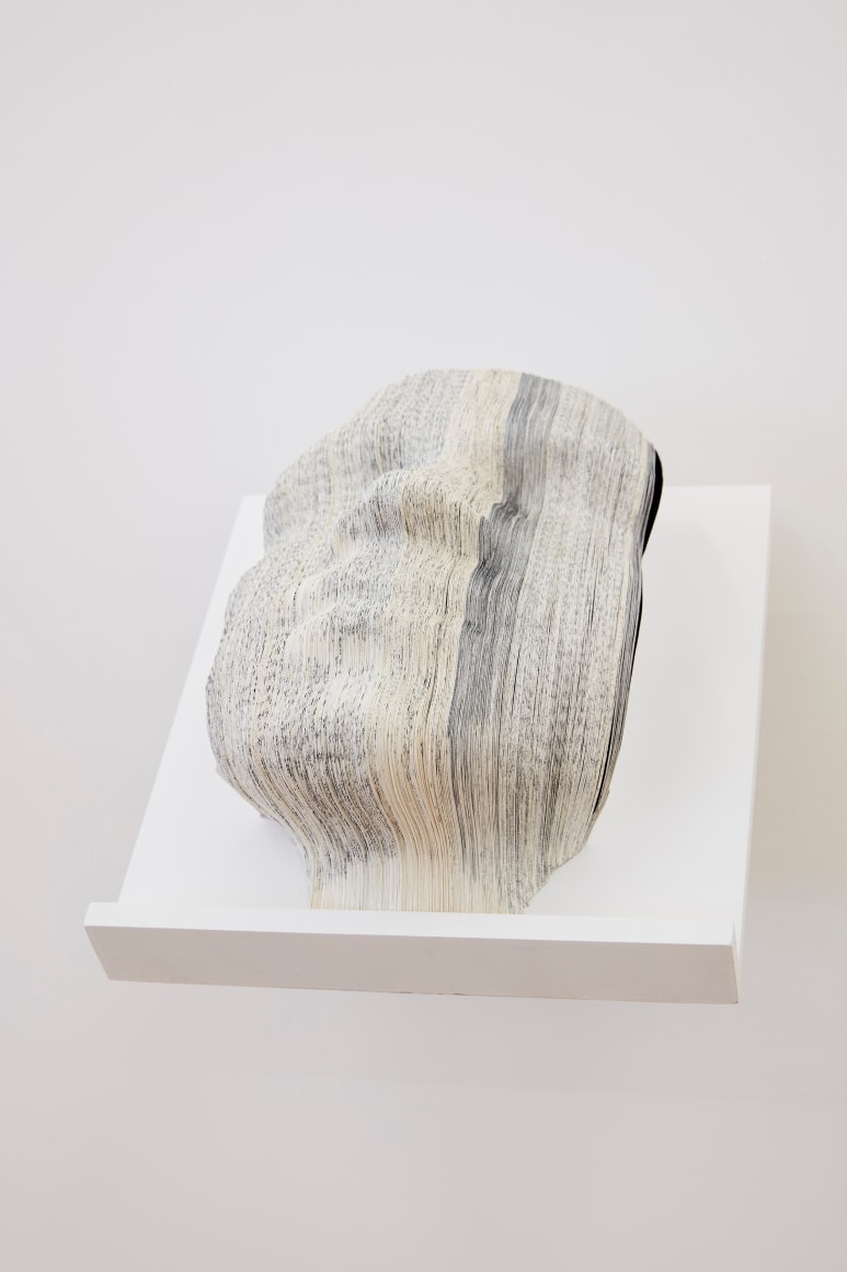 Nicholas Galanin What Have We Become?, 2017