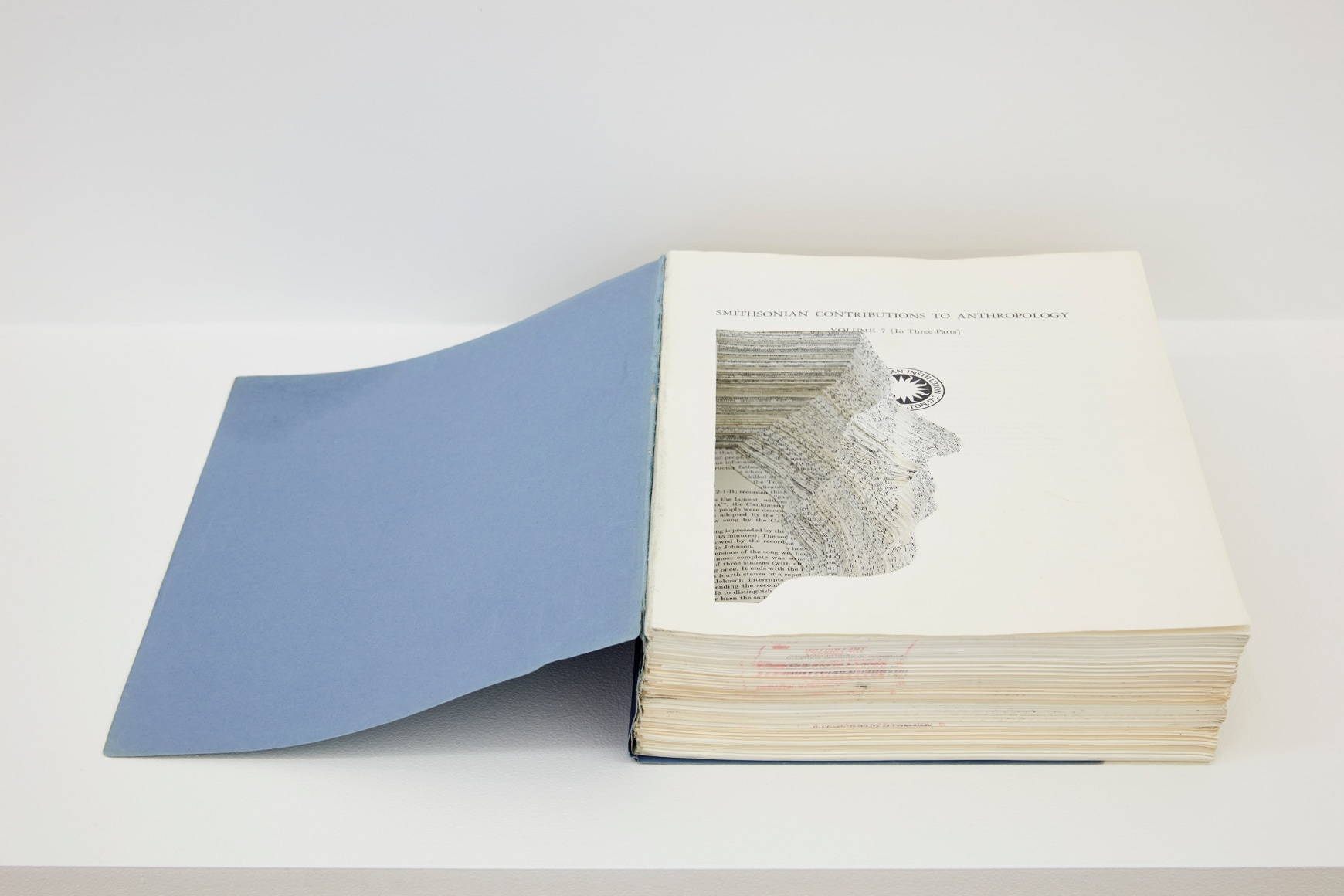 Nicholas Galanin What Have We Become? Basic assumptions, 2017