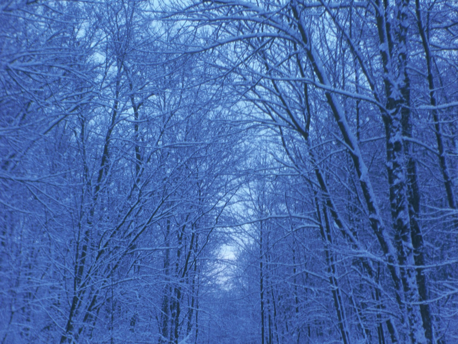 Hours For Jerome (Part 2) 5, 1966-1970