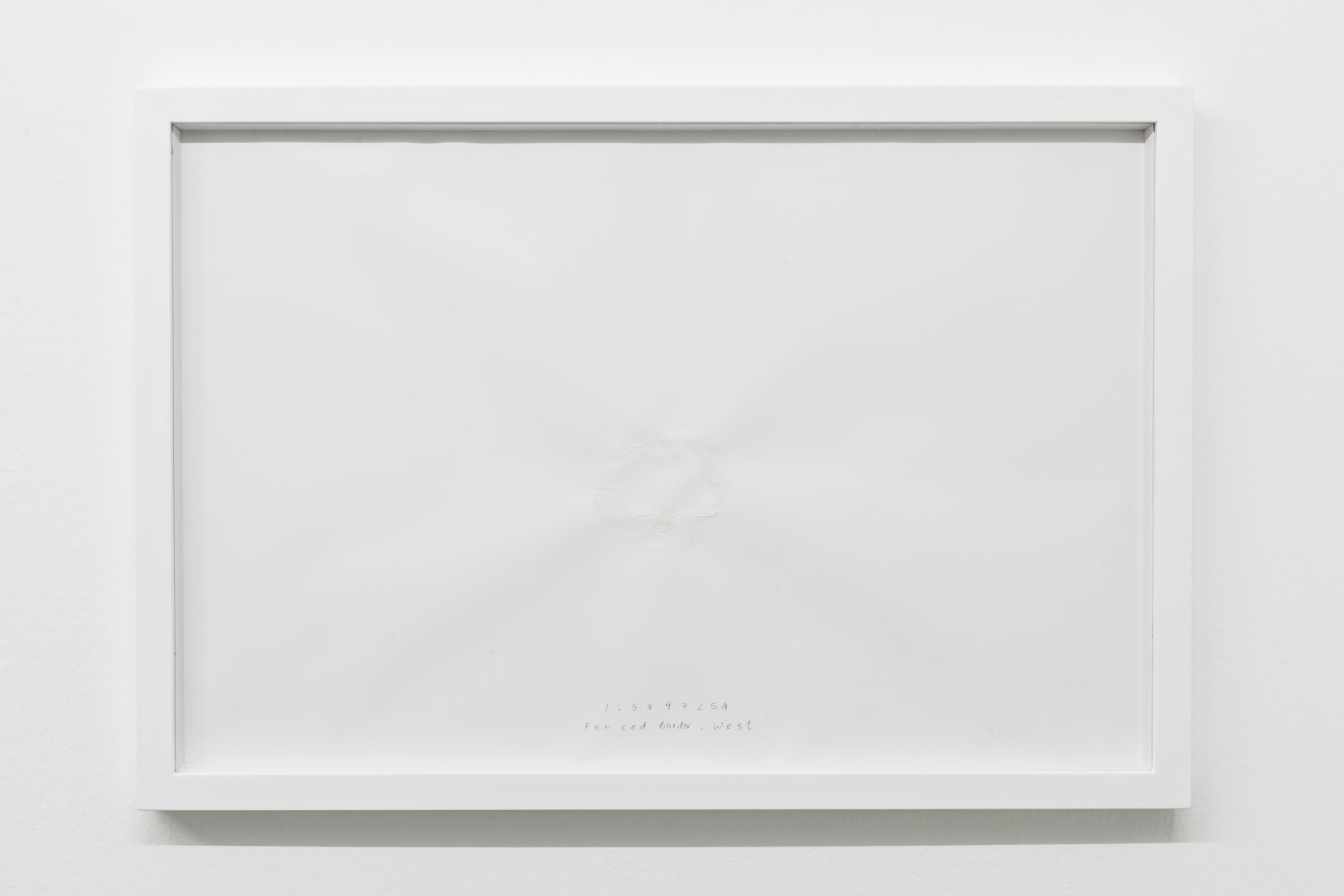 Shilpa Gupta, Pecan Tree 1:3897254, 2013, Drawing with threads,&nbsp;Ed. of 6