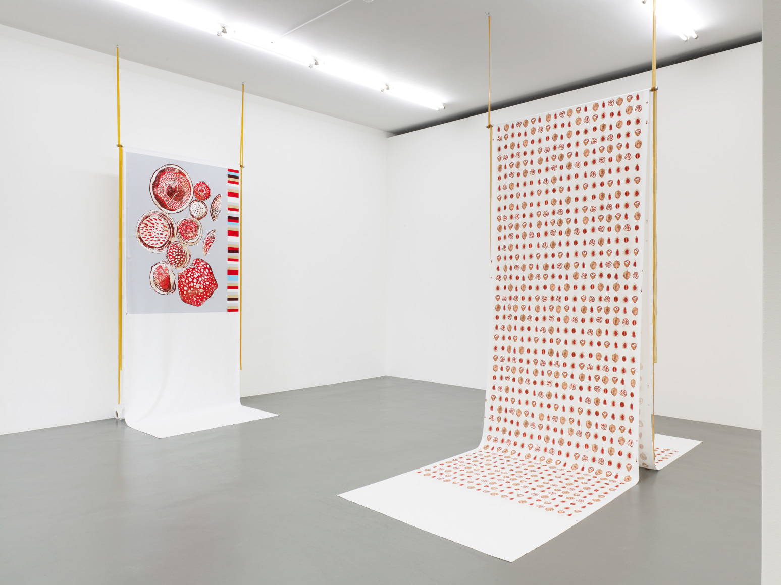 Rossella Biscotti, new work, Installation view at&nbsp;Witte de With Center for Contemporary Art, Rotterdam, Italy, 2019