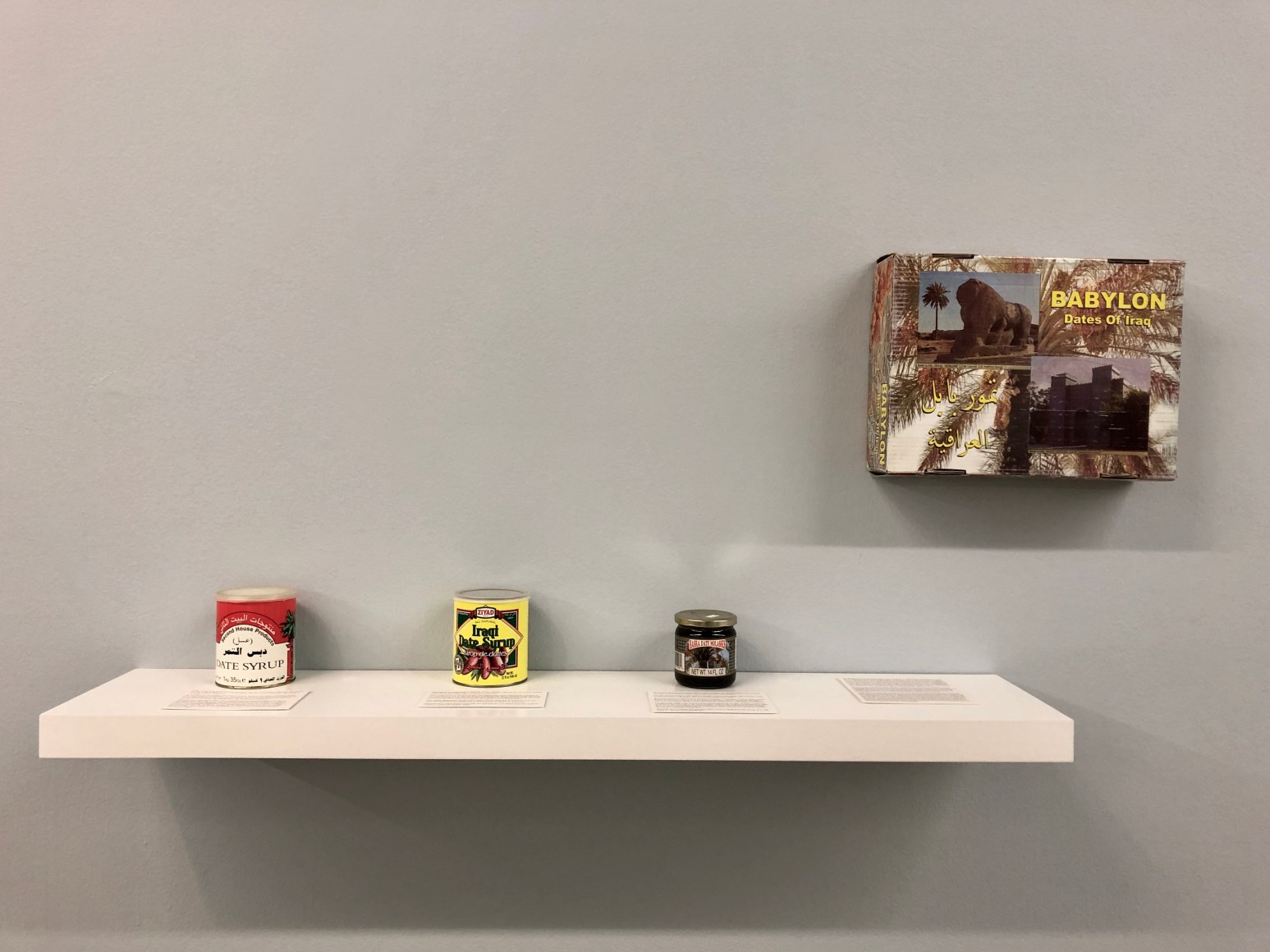 Dispute Between the Tamarisk and the Date Palm,&nbsp;Michael Rakowitz, Installation view at REDCAT, Los Angeles, 2019