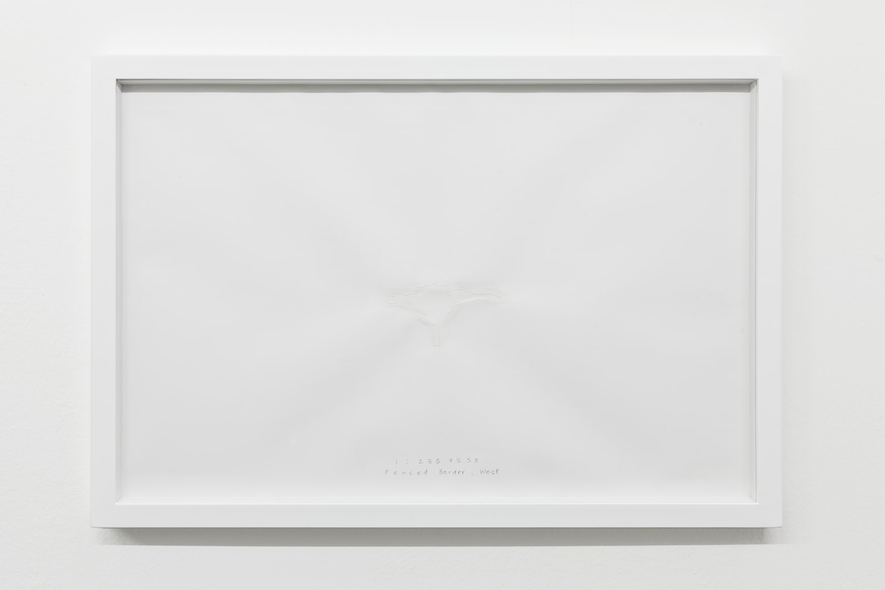 Shilpa Gupta, Acacia Tree 1:2337358, 2013, Drawing with threads,&nbsp;Ed. of 6