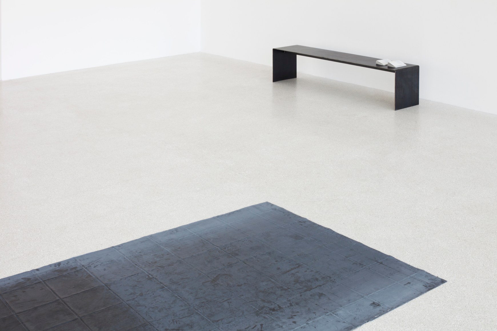 Rossella Biscotti, The Prison of Santo Stefano (detail), 2011