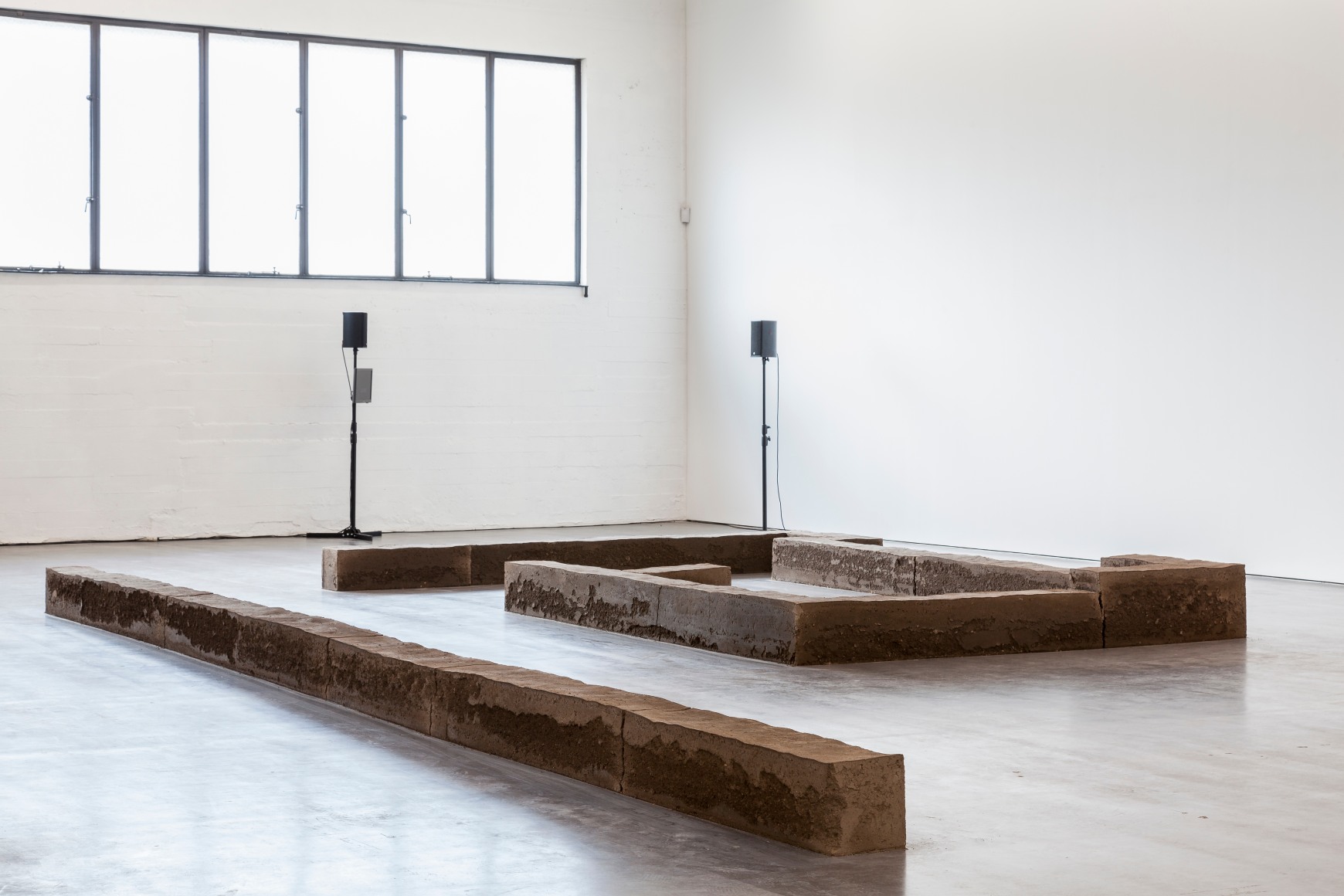 Rossella Biscotti, I dreamt that you changed into a cat&hellip; gatto&hellip; ha ha ha, 2013&nbsp;, Installation view at WIELS, Brussels,2014