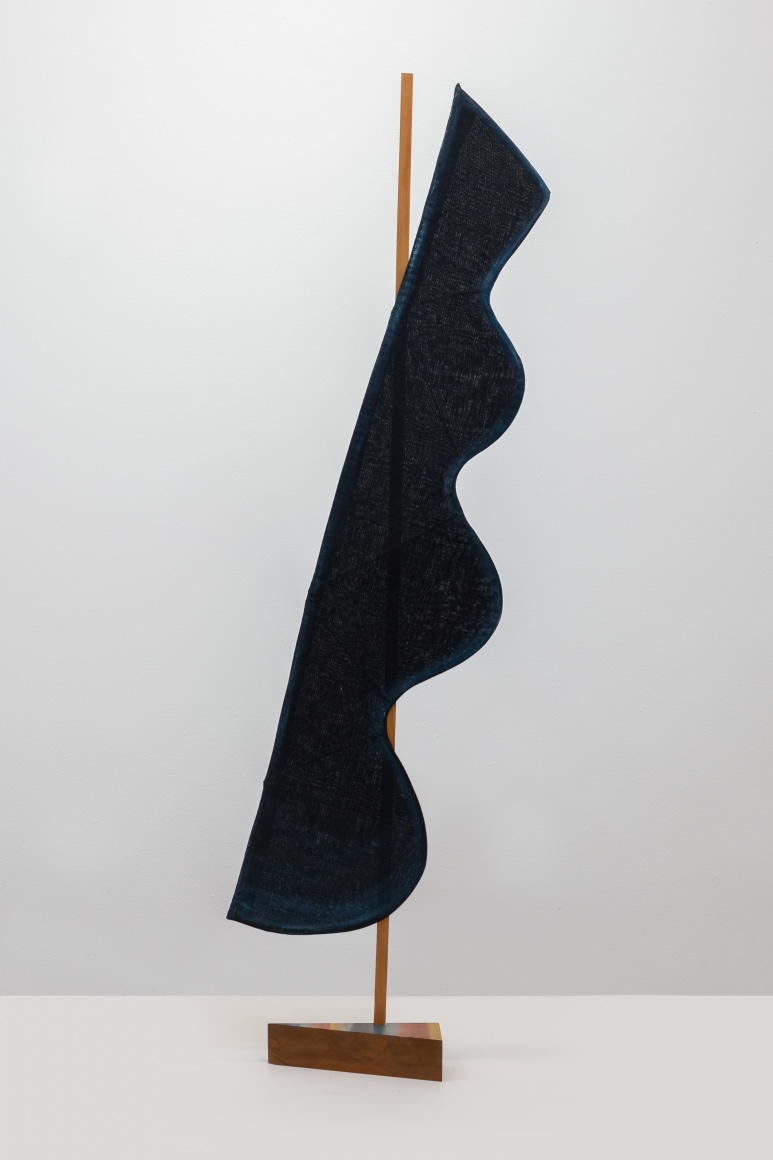 Ana Mazzei, Sombras III, 2021