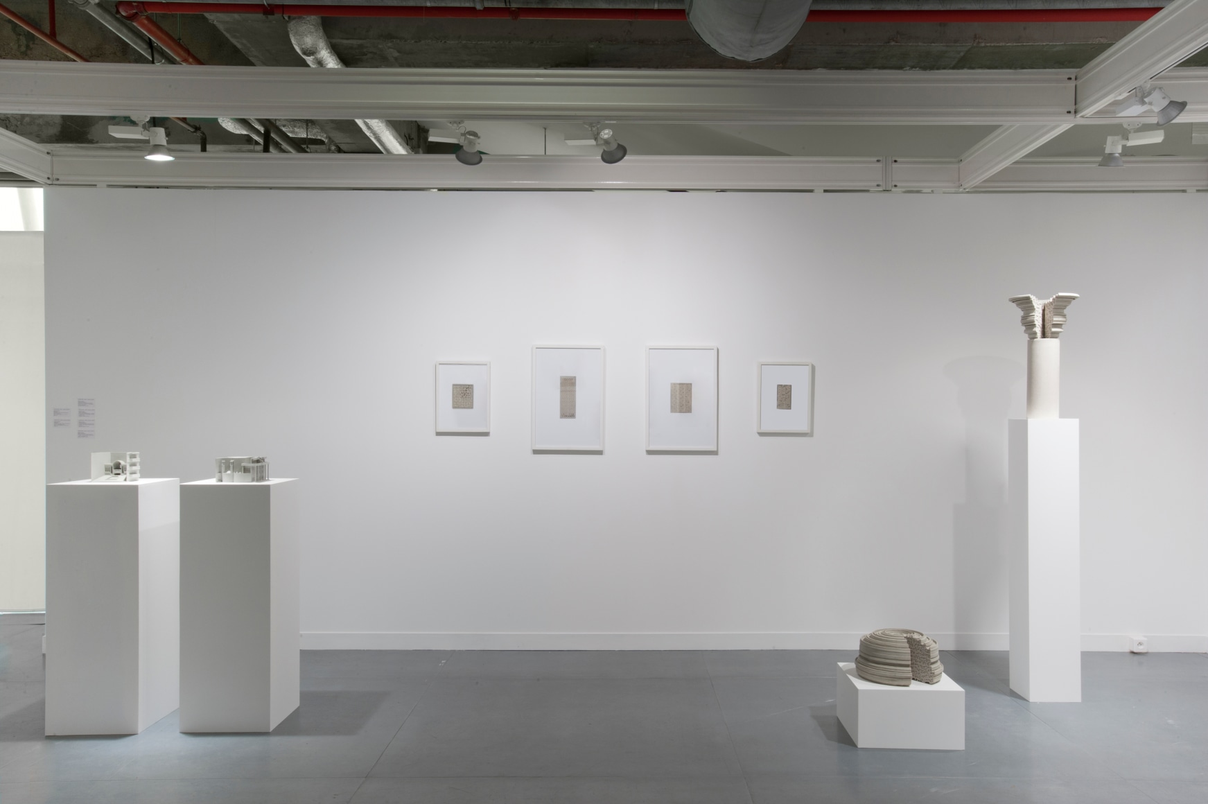 Installation view of Green Art Gallery, Dubai at FIAC (OFF)ICIELLE, 2014