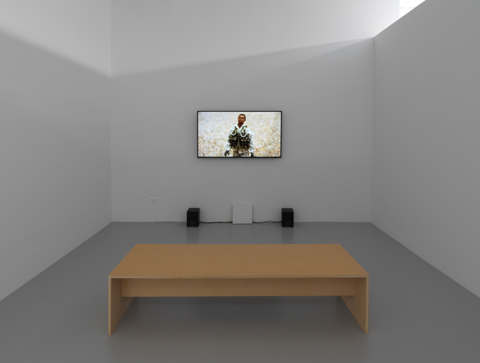 Dispute Between the Tamarisk and the Date Palm,&nbsp;Michael Rakowitz, Installation view at REDCAT, Los Angeles, 2019