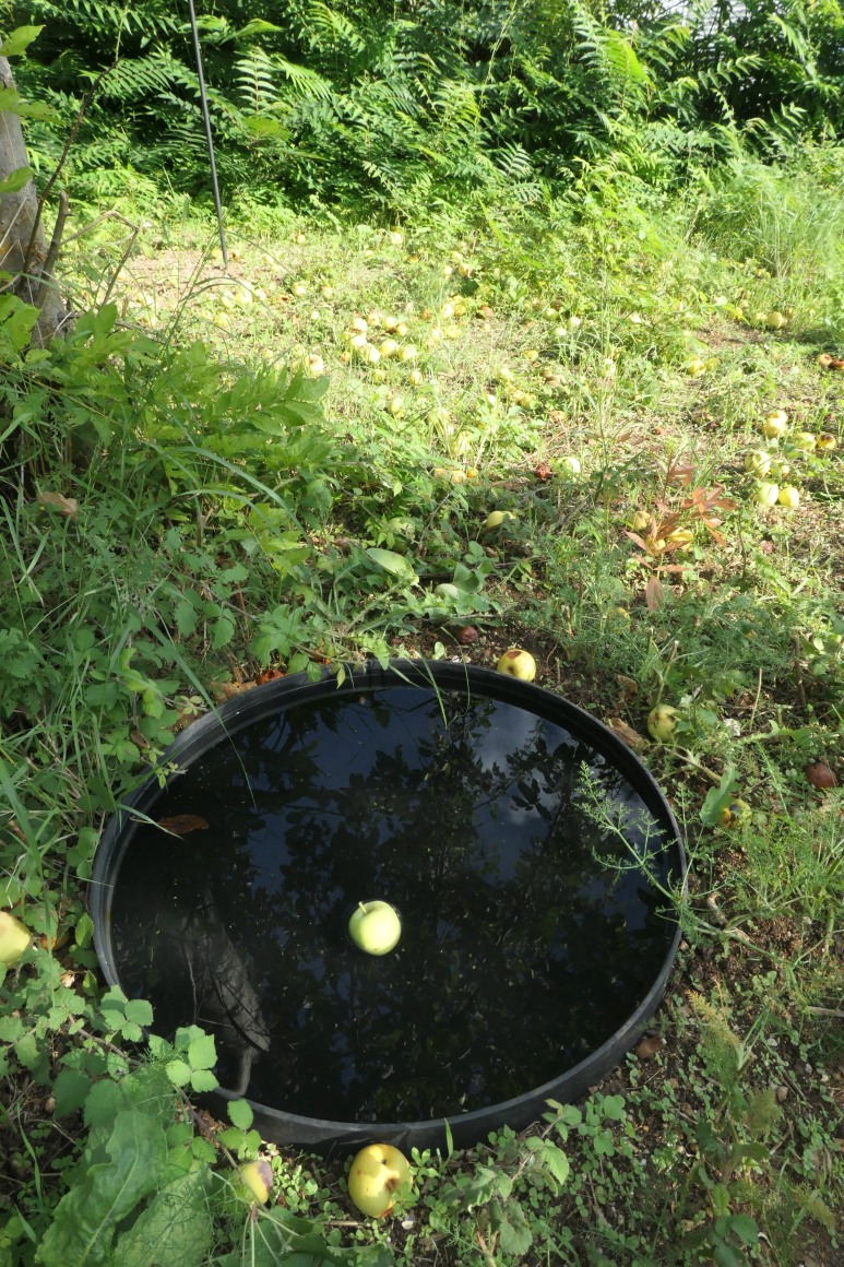 Hale Tenger,&nbsp;Appearance, 2019, Installation view at&nbsp;16th Istanbul Biennial