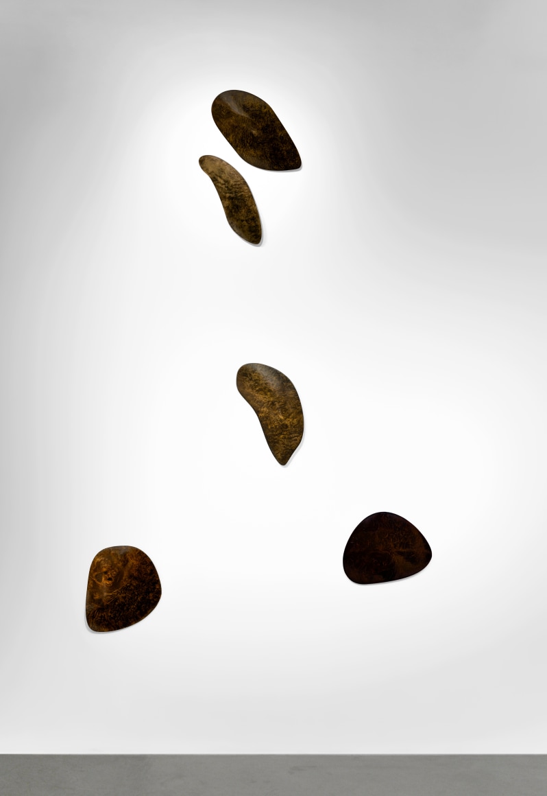 Alessandro Balteo-Yazbeck Constellation A, 2006-2020