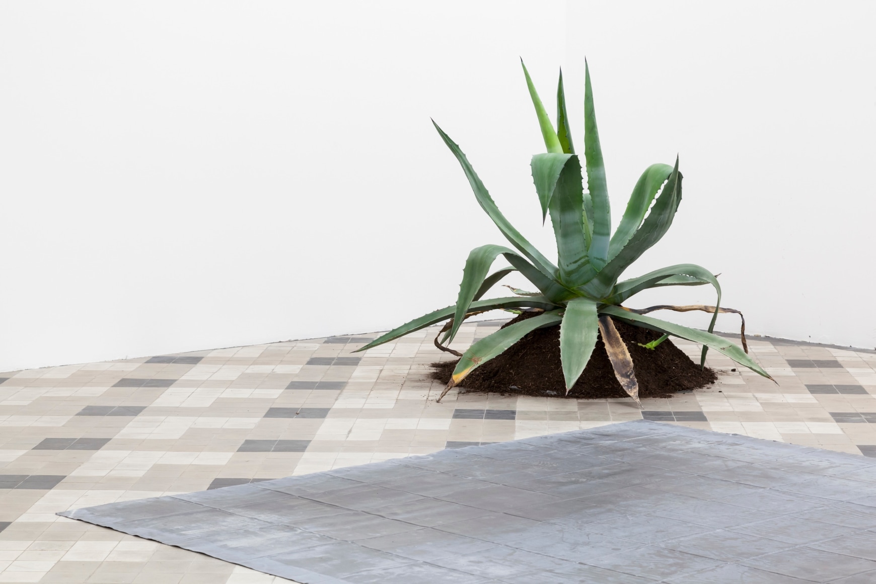 Rossella Biscotti, The Prison of Santo Stefano (detail), 2011&nbsp;