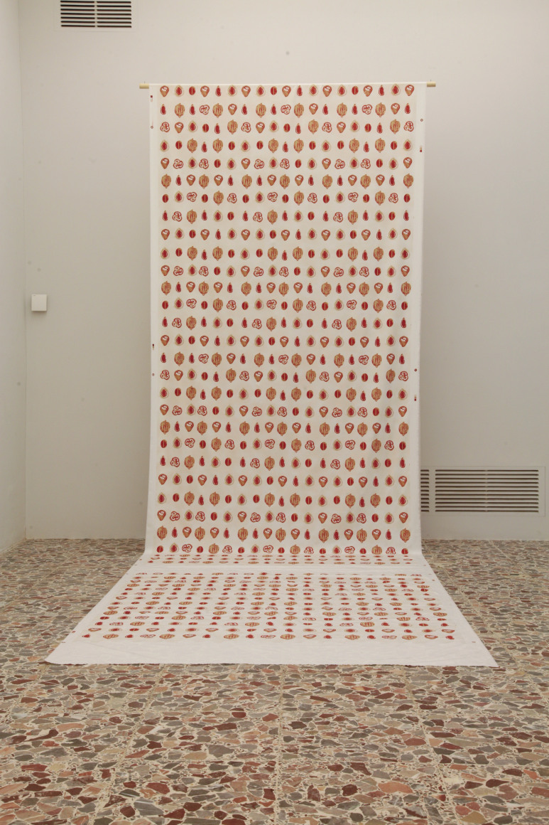 Rossella Biscotti, Clara and Other Specimens, Installation view at Fondazione Antonio Ratti, Villa Sucota, Como, Italy, 2019