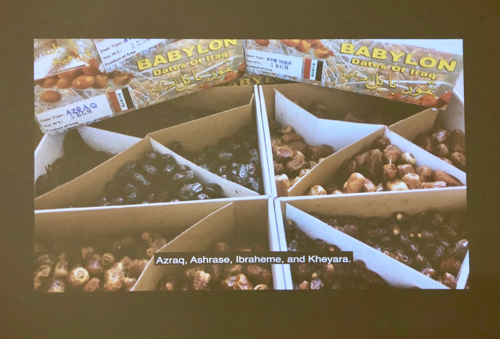 Dispute Between the Tamarisk and the Date Palm,&nbsp;Michael Rakowitz, Installation view at REDCAT, Los Angeles, 2019