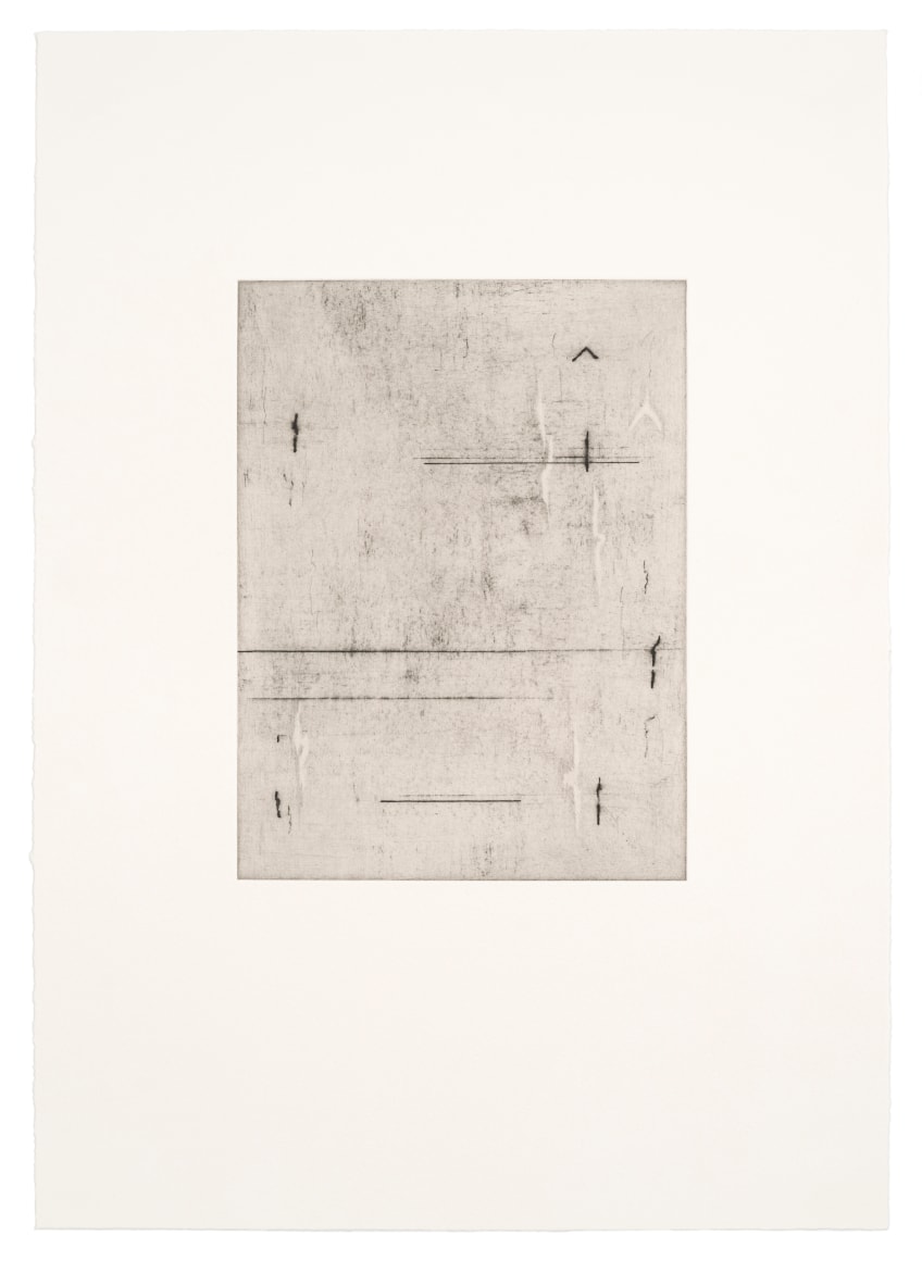 Seher Shah, The Dacca Gauzes (Woven Air), 2024