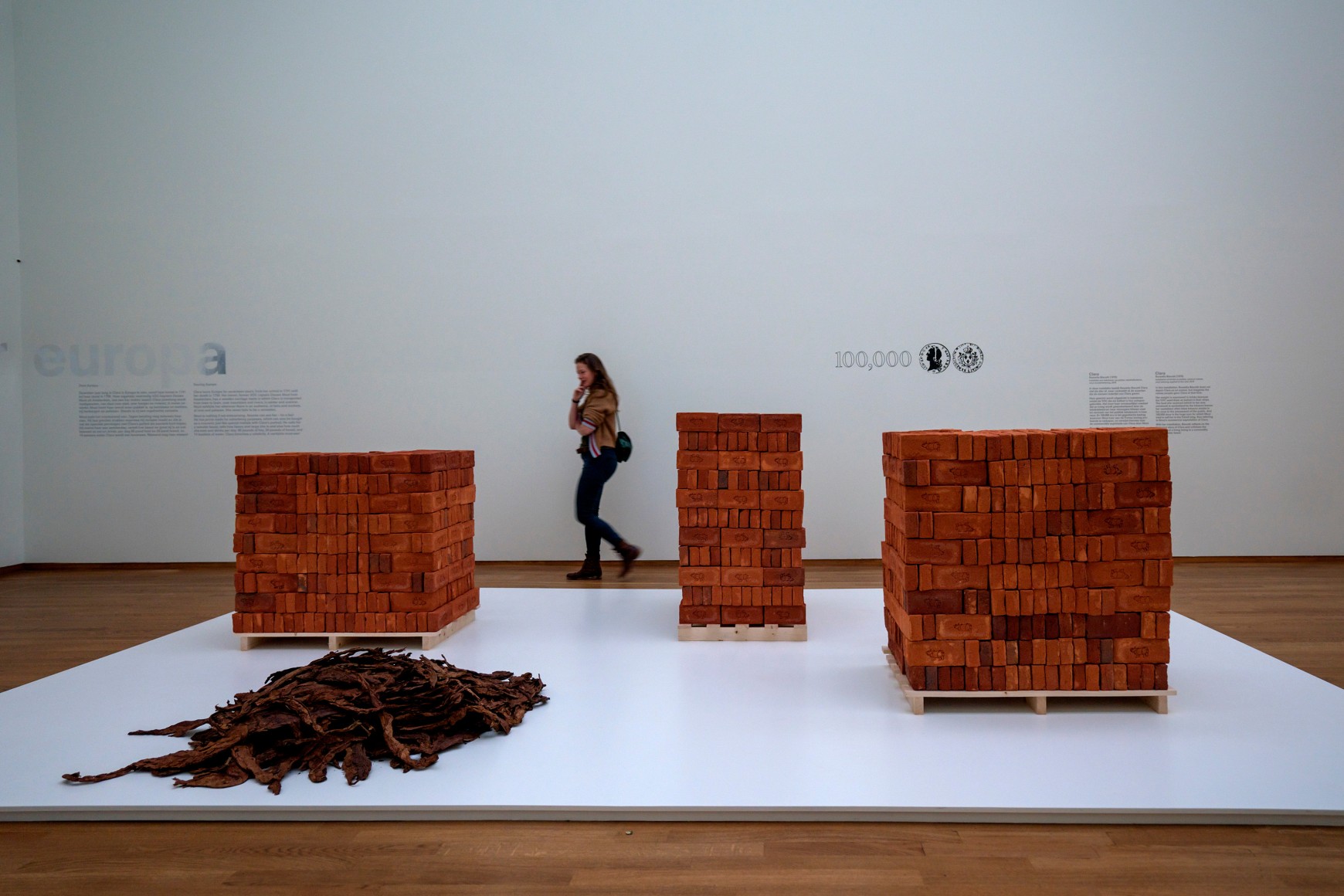 Rossella Biscotti,&nbsp;Clara, 2016