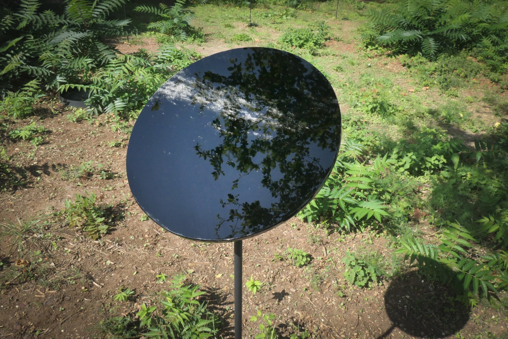 Hale Tenger,&nbsp;Appearance, 2019, Installation view at&nbsp;16th Istanbul Biennial