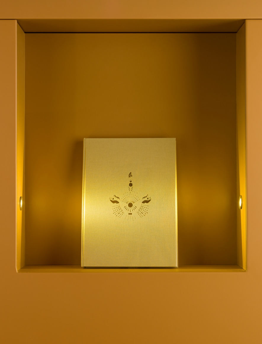 Nazgol Ansarinia,&nbsp;NSS book series, 2008, Printed paper bound together in book format with a foil embossed cover