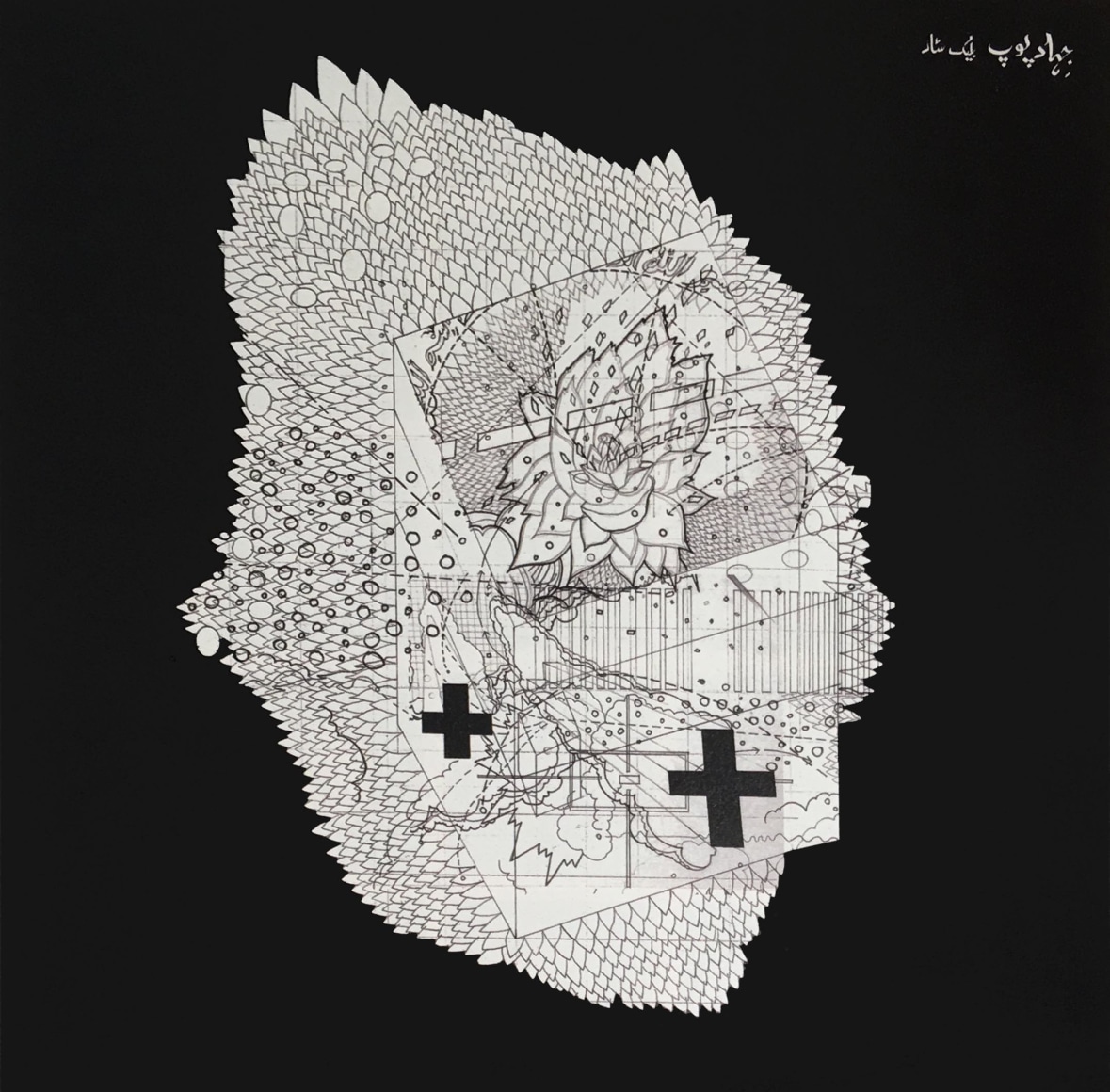 Seher Shah, The Black Star Project_Cube 4, 2007