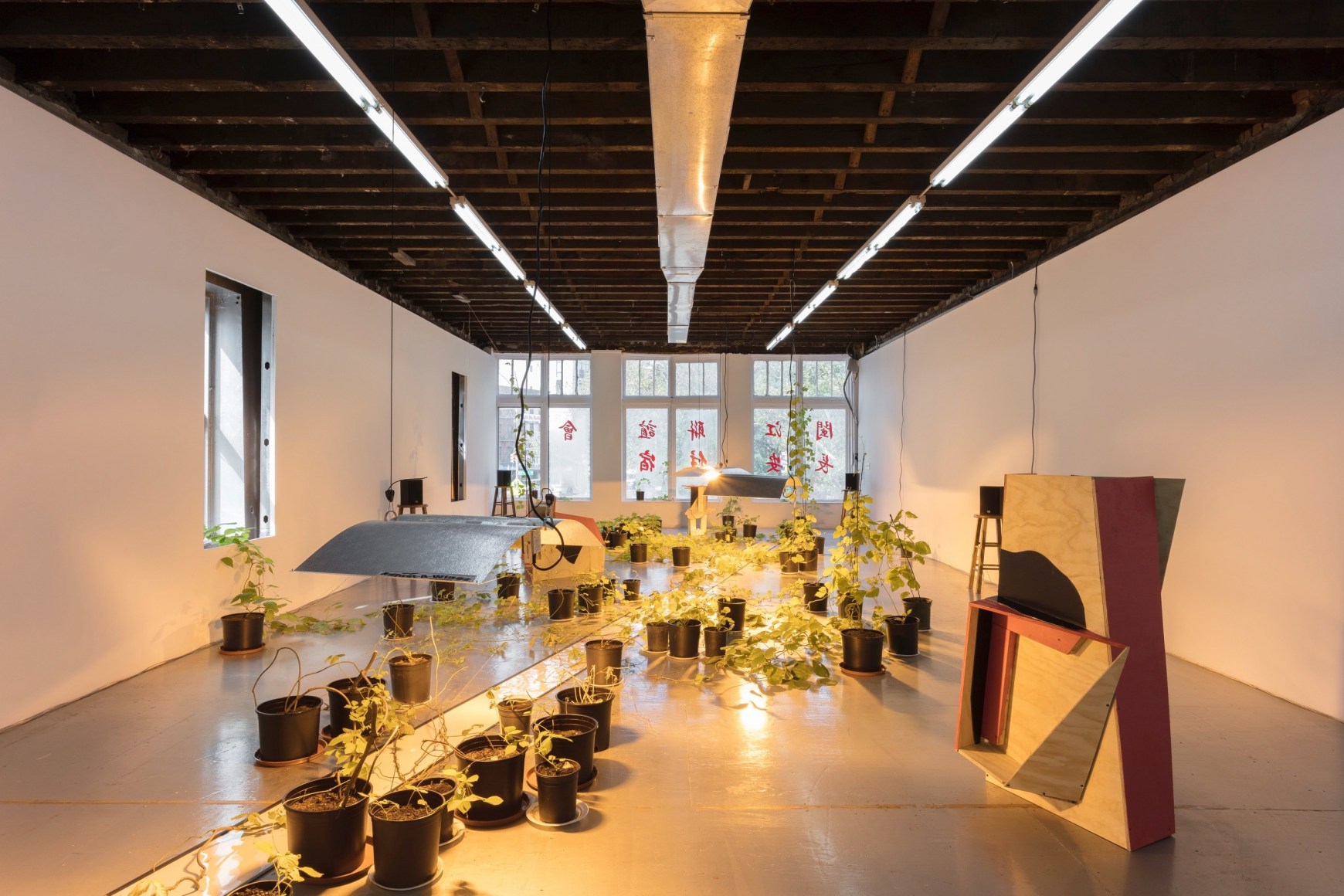 Shadi Habib Allah, Biscuits and Green Sox Maaike, 2016, Installation view at Reena Spaulings, NY