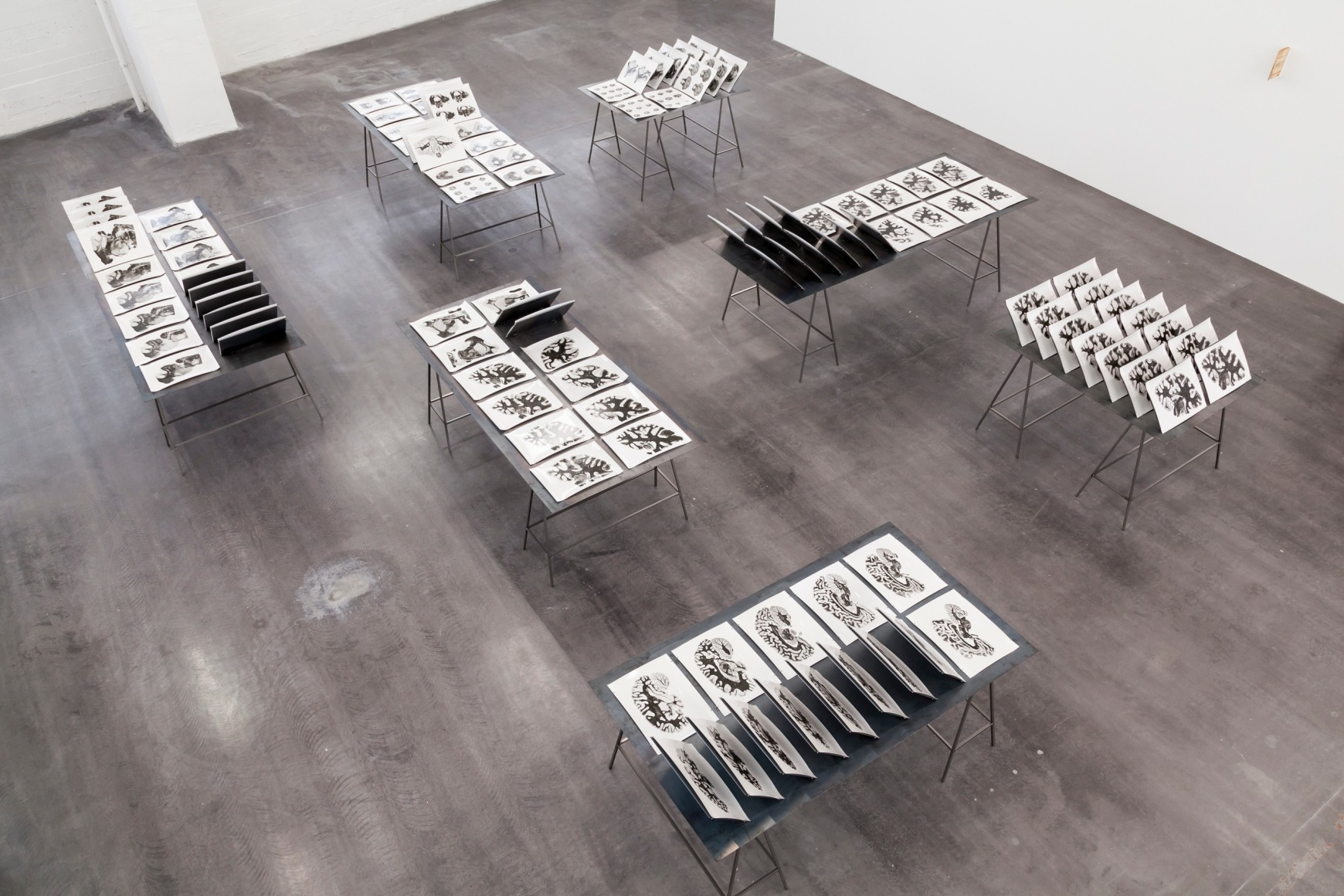 Rossella Biscotti, 168 Sections of a Human Brain, 2010 - 2014, 108 gelatin silver prints on baryta paper, 30 x 40 cm (each), 7 steel tables