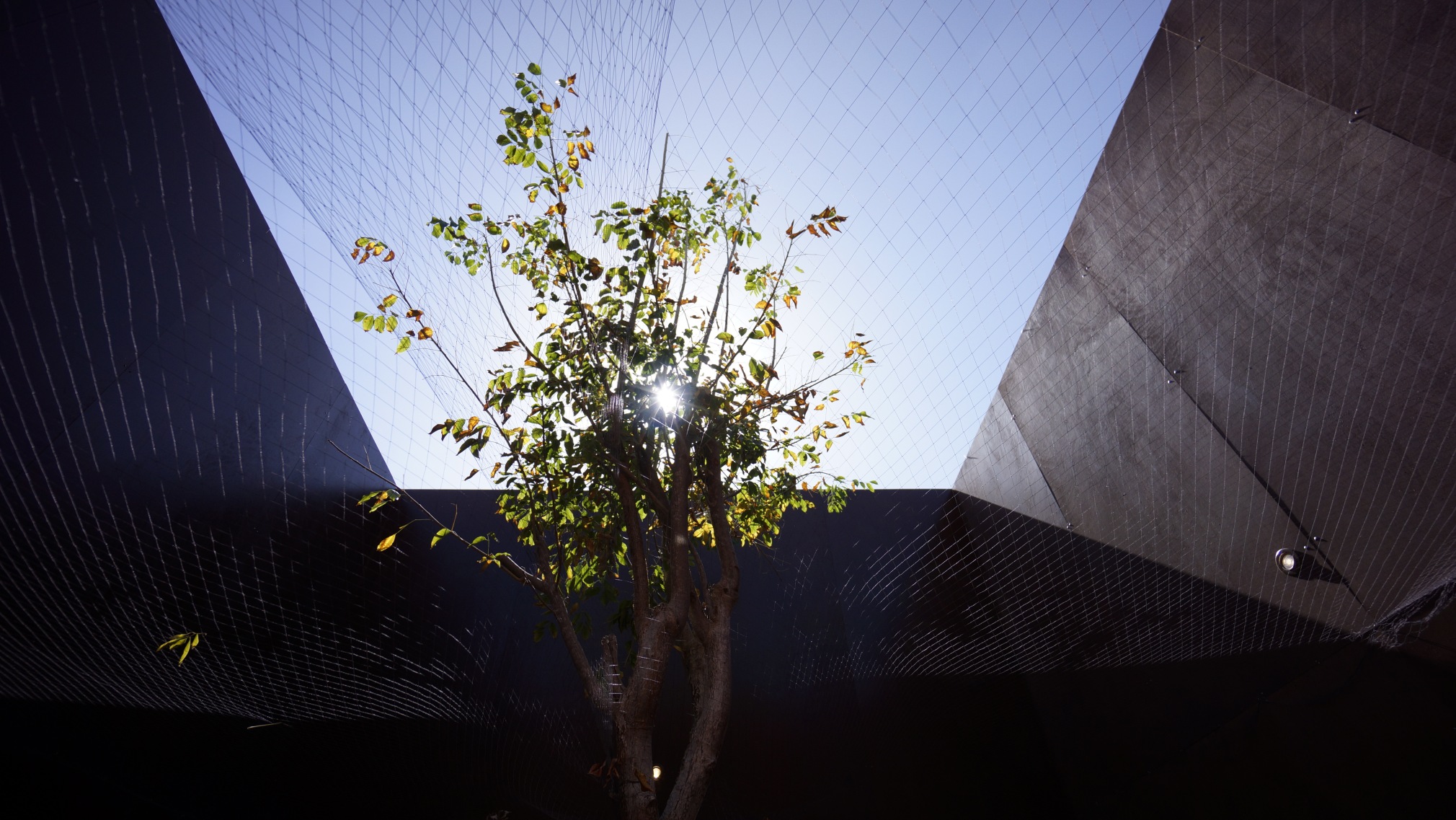 Hale Tenger, Under, 2018, Mixed media installation. Audio: Serdar Ateşer, Electro/acoustic consultant: Hakan Kurşun, Dubbing artist: Ceren T&uuml;rkmenoğlu, Commissioned by Alserkal Programming