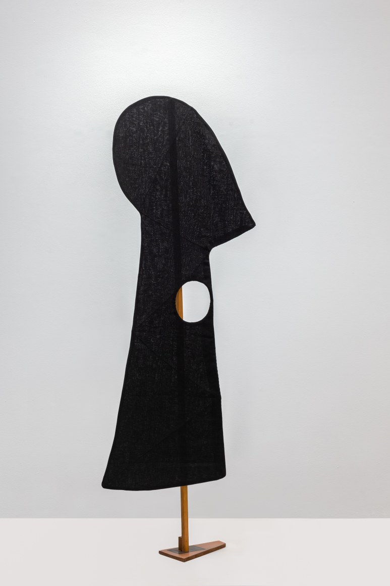 Ana Mazzei, Sombras II, 2021