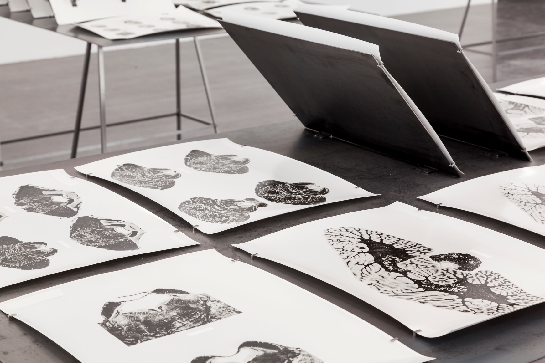 Rossella Biscotti, 168 Sections of a Human Brain (detail), 2010 - 2014