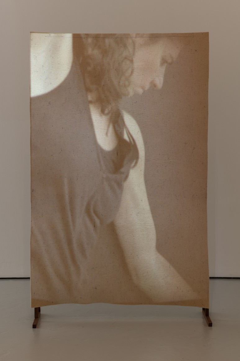 Ana Mazzei,&nbsp;Dancer, 2019, Video:&nbsp;projection, wood and felt, 160 x 102 cm,&nbsp;