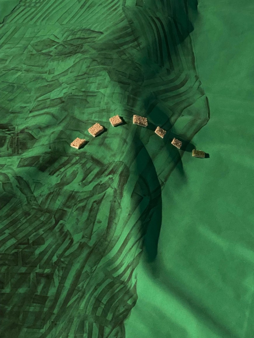 Hera Büyüktasçiyan, The Earthbound Whisperers (detail), 2023