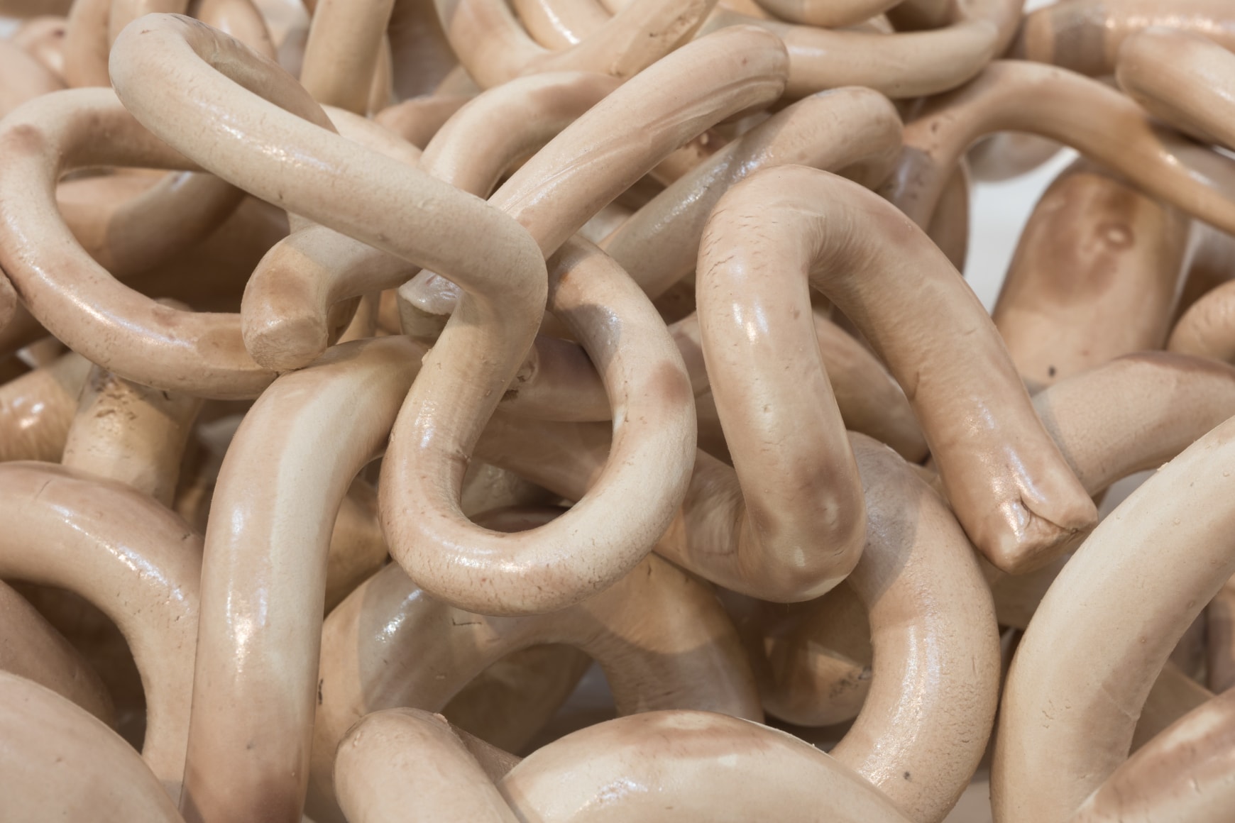 Afra Al Dhaheri,&nbsp;Indomie curls (detail), 2021