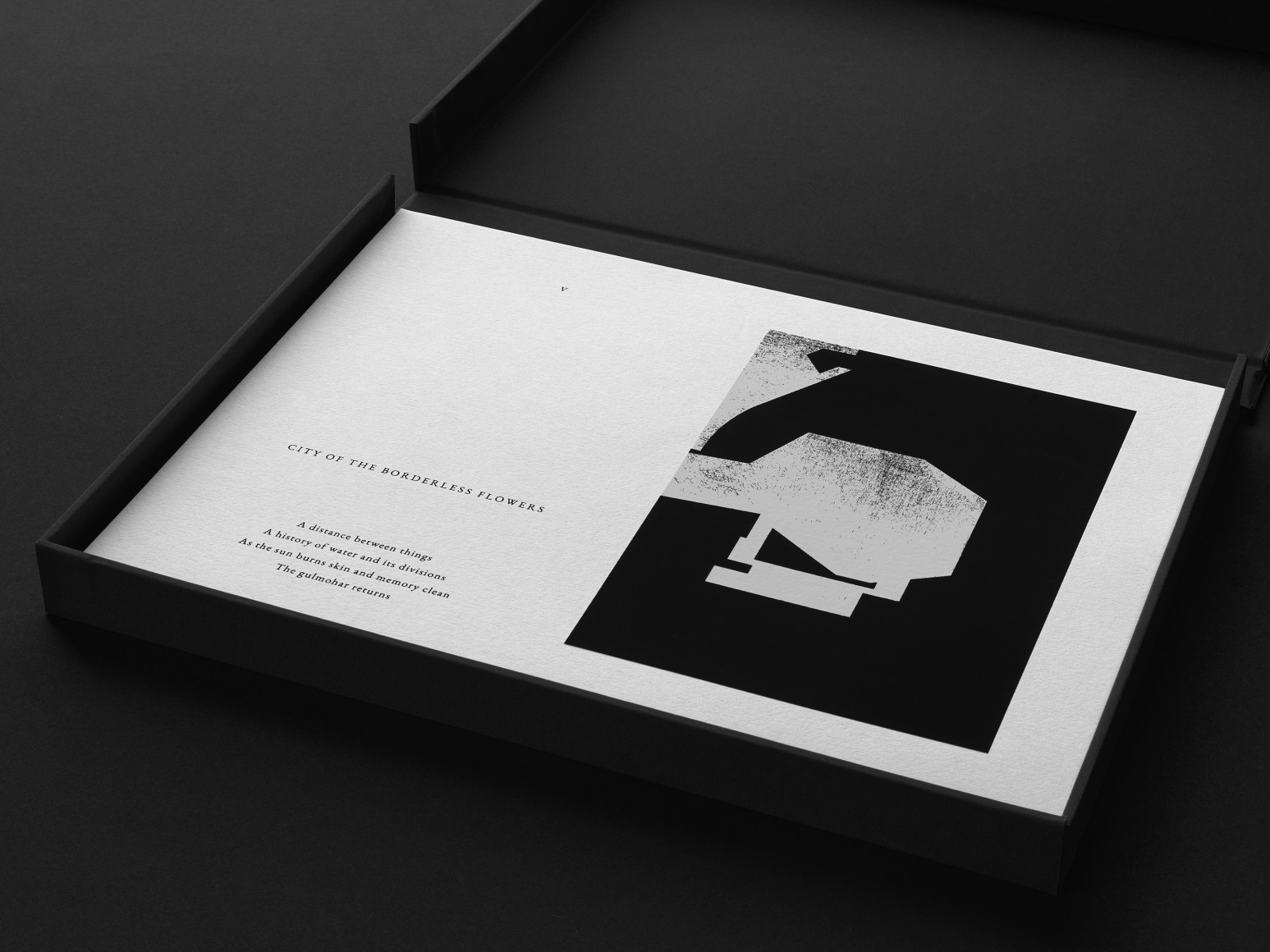 Seher Shah, Notes from a City Unknown (detail), 2021