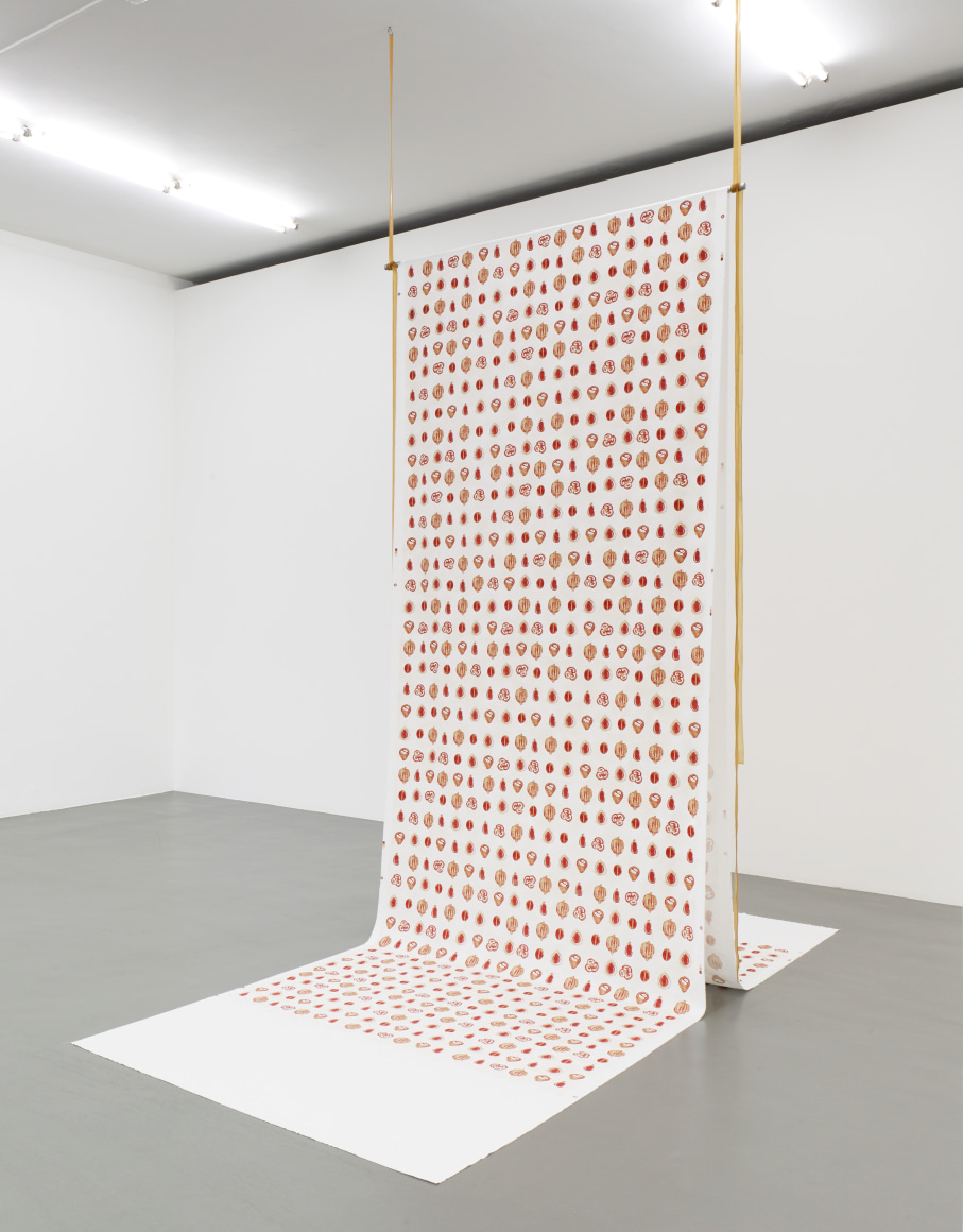 Rossella Biscotti, Seeds, 2019, Silkscreen print on cotton, rubber strips