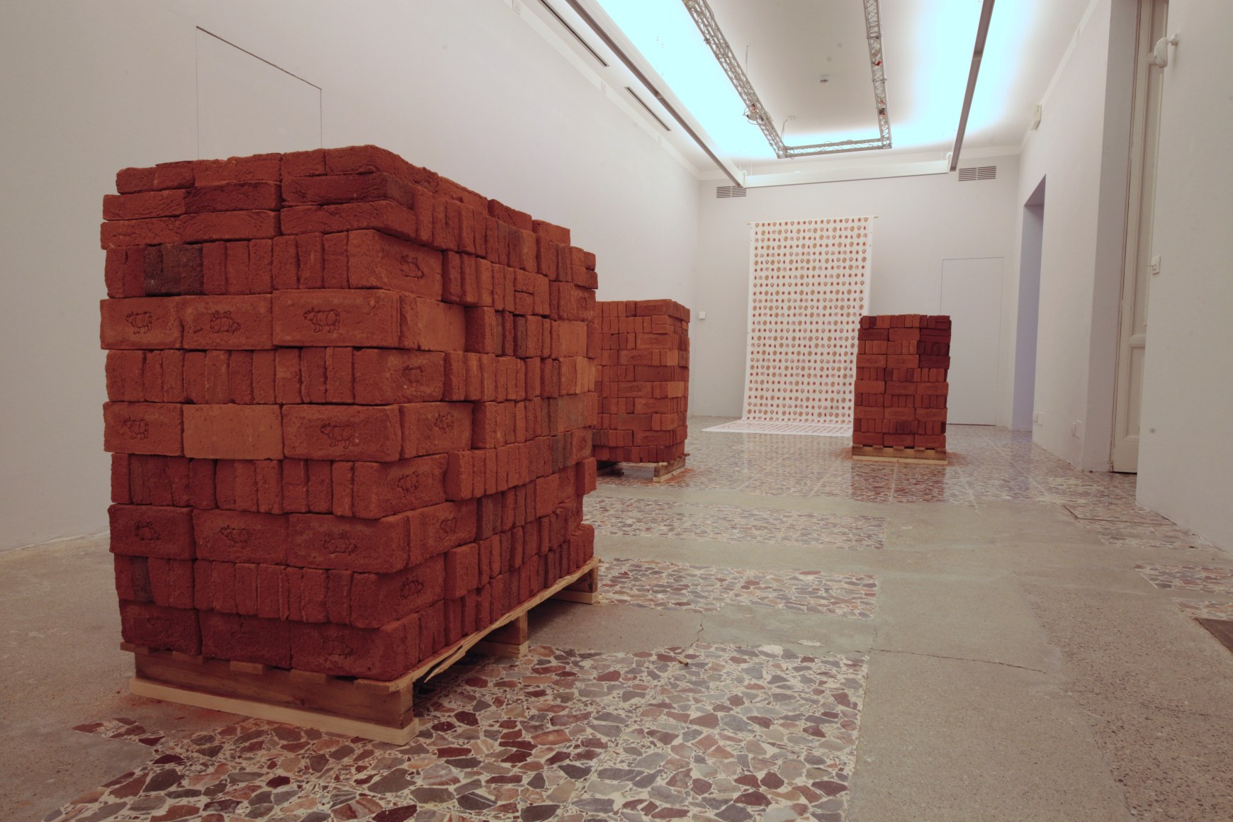Rossella Biscotti, Clara and Other Specimens, Installation view at Fondazione Antonio Ratti, Villa Sucota, Como, Italy, 2019