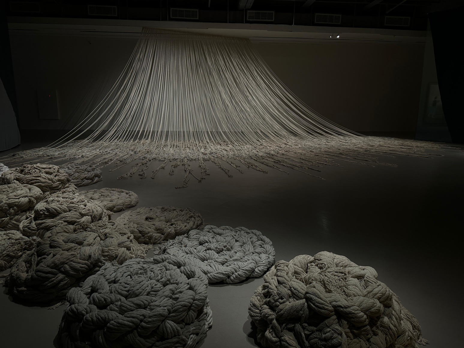Afra Al Dhaheri, Weighted PAUSE:, 2025, Varied cotton rope, wood, and metal hooks