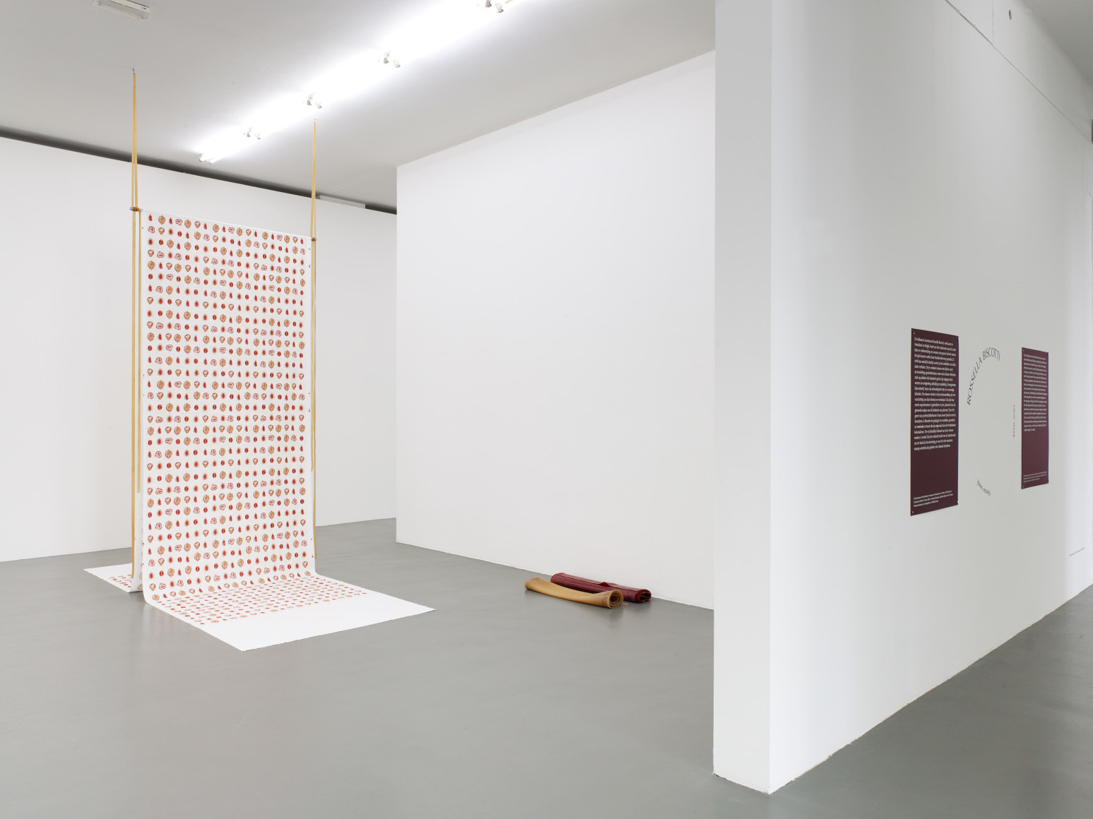 Rossella Biscotti, new work, Installation view at&nbsp;Witte de With Center for Contemporary Art, Rotterdam, Italy, 2019