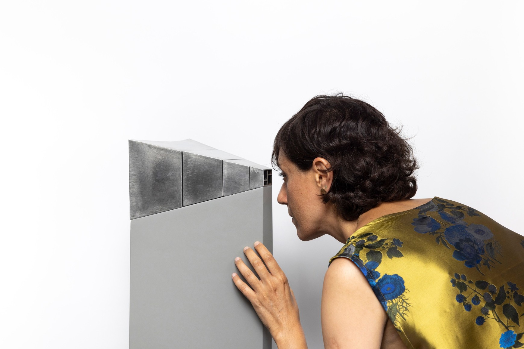 Instruments of Viewing and Obscurity, Nazgol Ansarinia