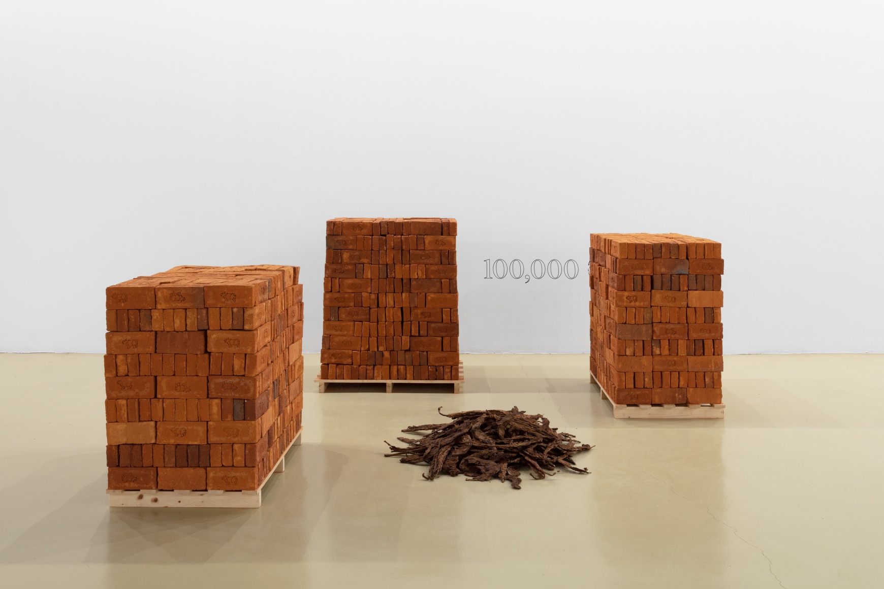 Rossella Biscotti, Title One, I dreamt, Clara and other stories, Installation view at&nbsp;Castello di Rivoli, Turin, Italy, 2024