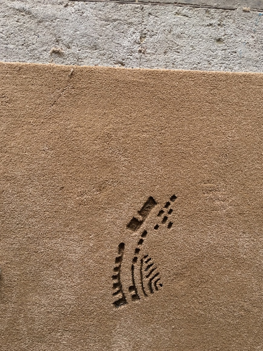 Hera B&uuml;y&uuml;ktaş&ccedil;ıyan, Reveries of an Underground Forest (detail),&nbsp;2019, Commissioned by the Toronto Biennial of Art