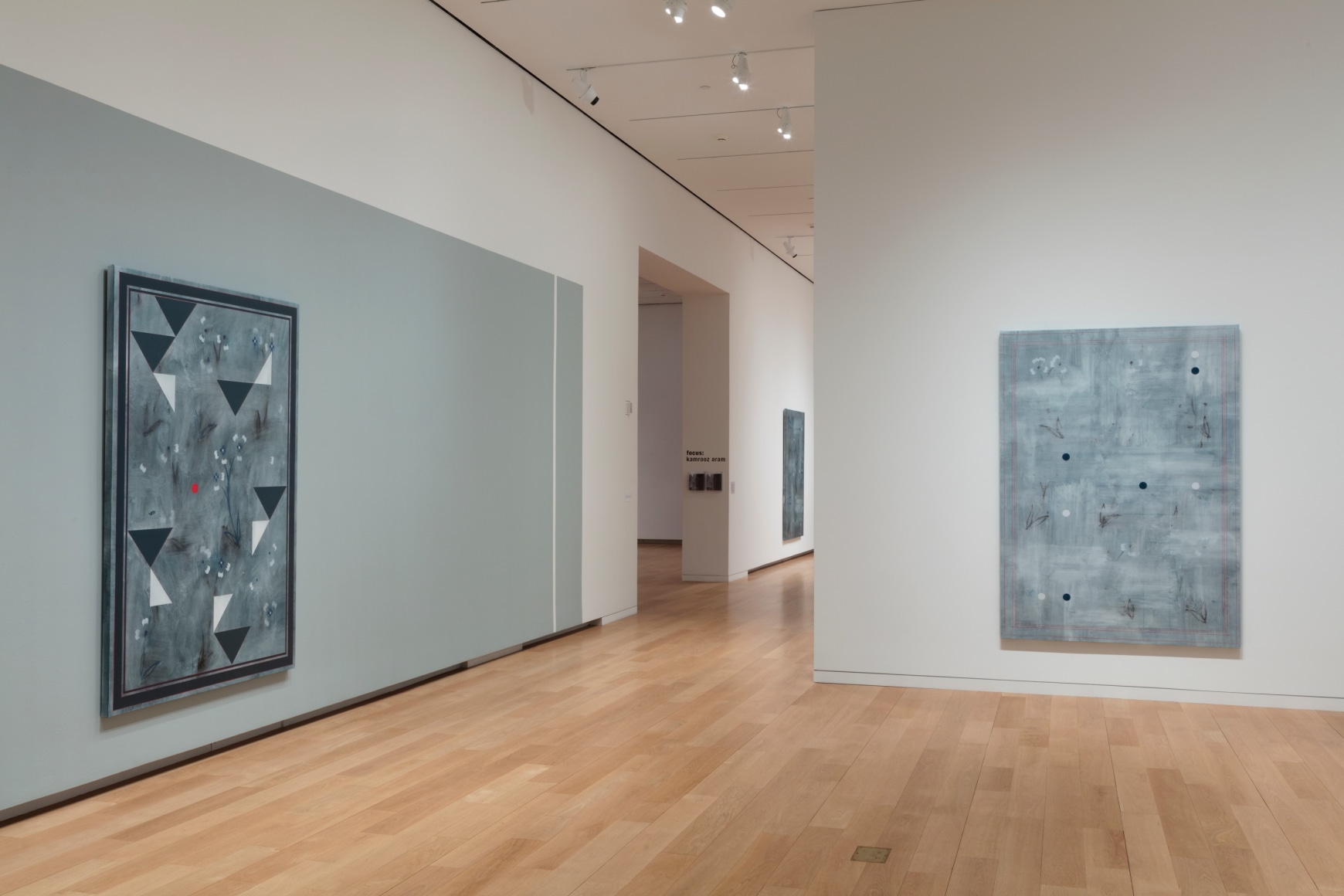 FOCUS: Kamrooz Aram, Installation view at&nbsp;The Modern Art Museum