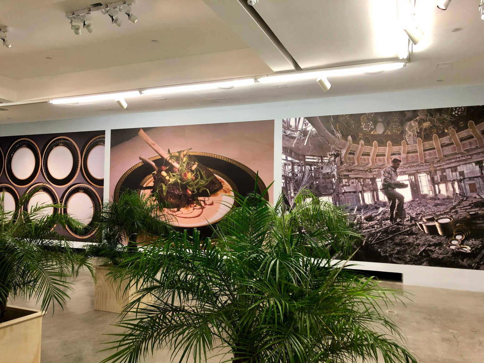 Dispute Between the Tamarisk and the Date Palm,&nbsp;Michael Rakowitz, Installation view at REDCAT, Los Angeles, 2019
