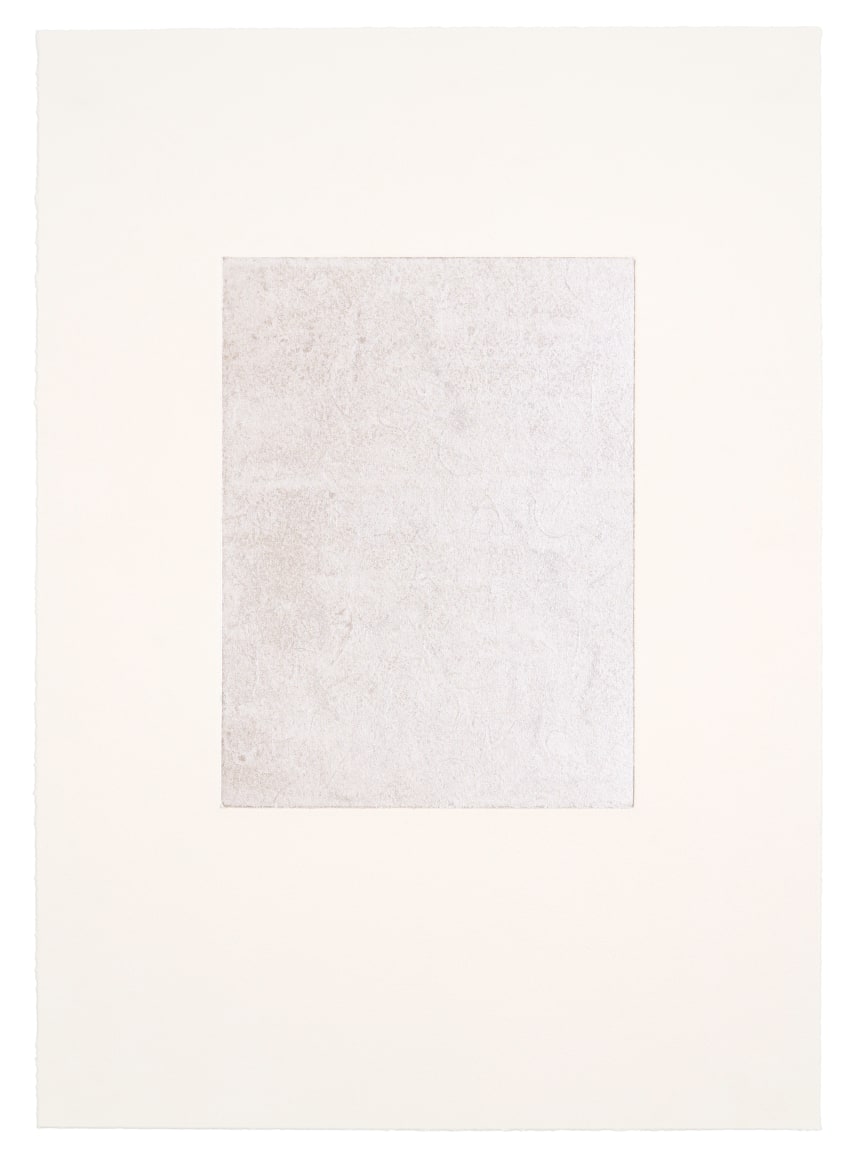 Seher Shah, The Dacca Gauzes (Absence), 2024