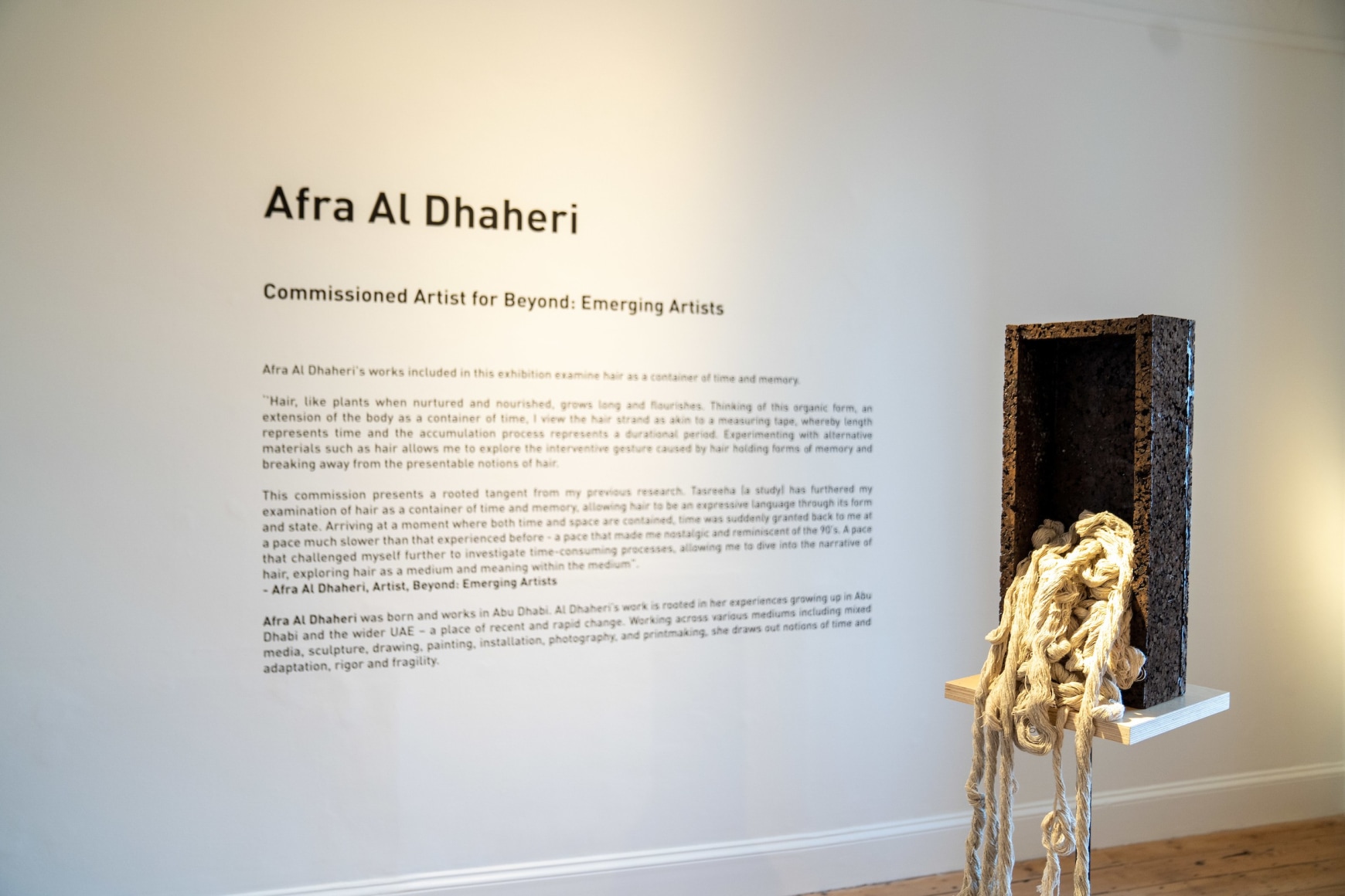 Beyond: Emerging Artists, Installation view at Cromwell Place, London, UK, 2021